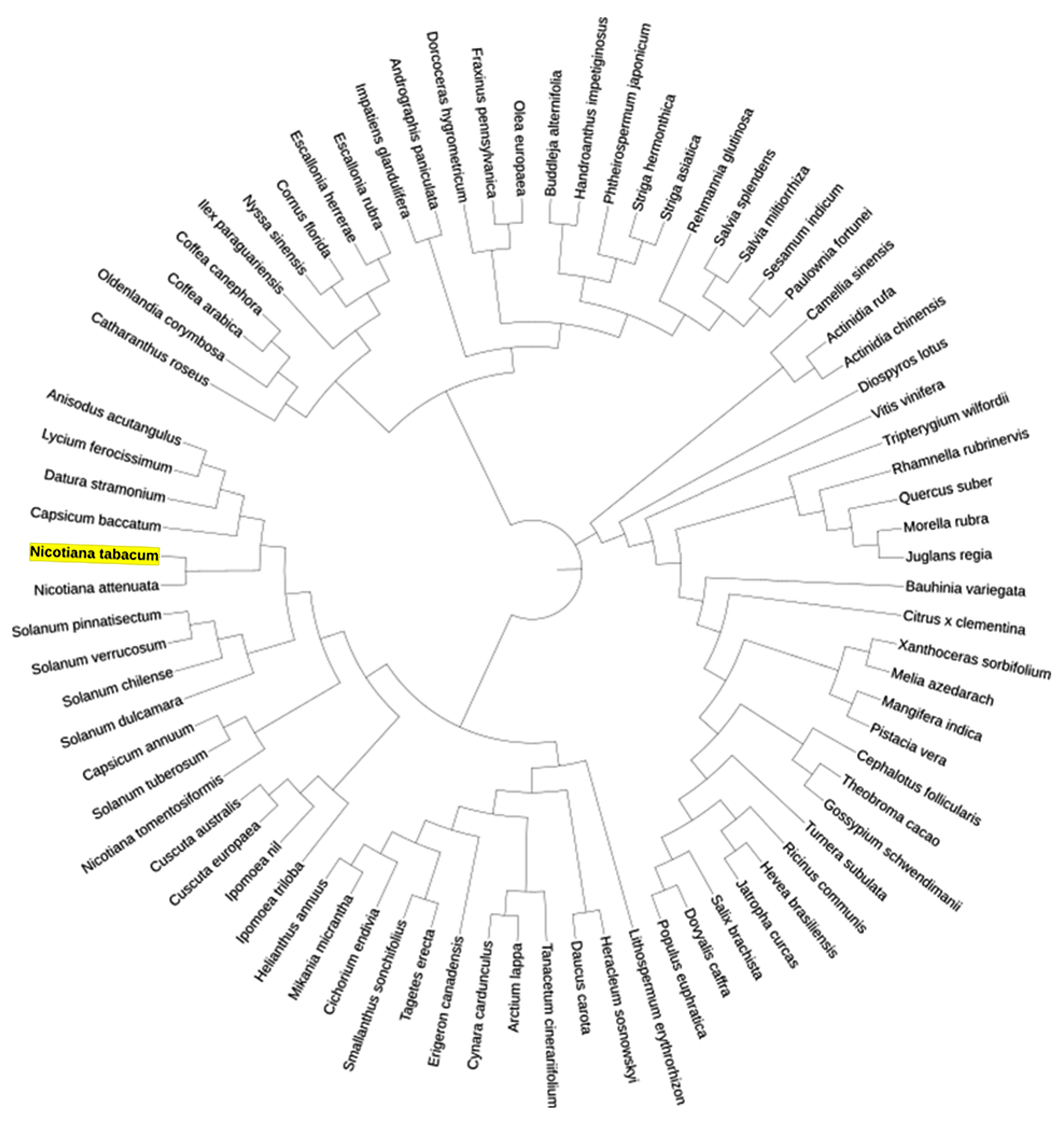 Applsci 15 04463 g002