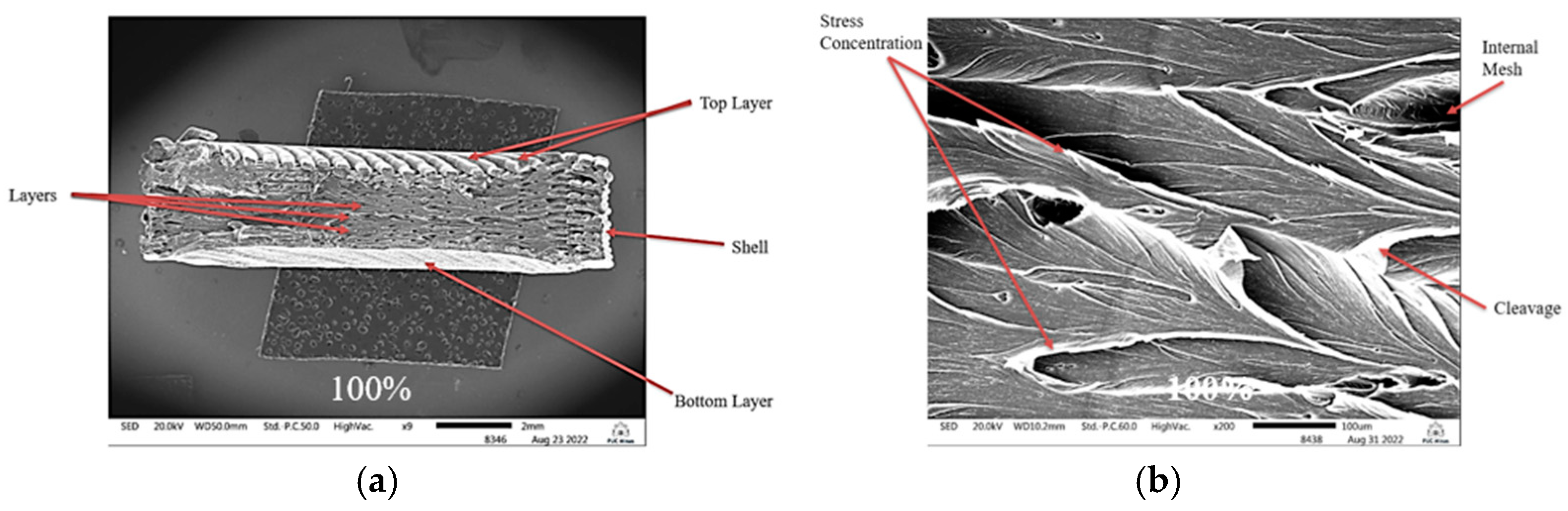 Applsci 15 04467 g021