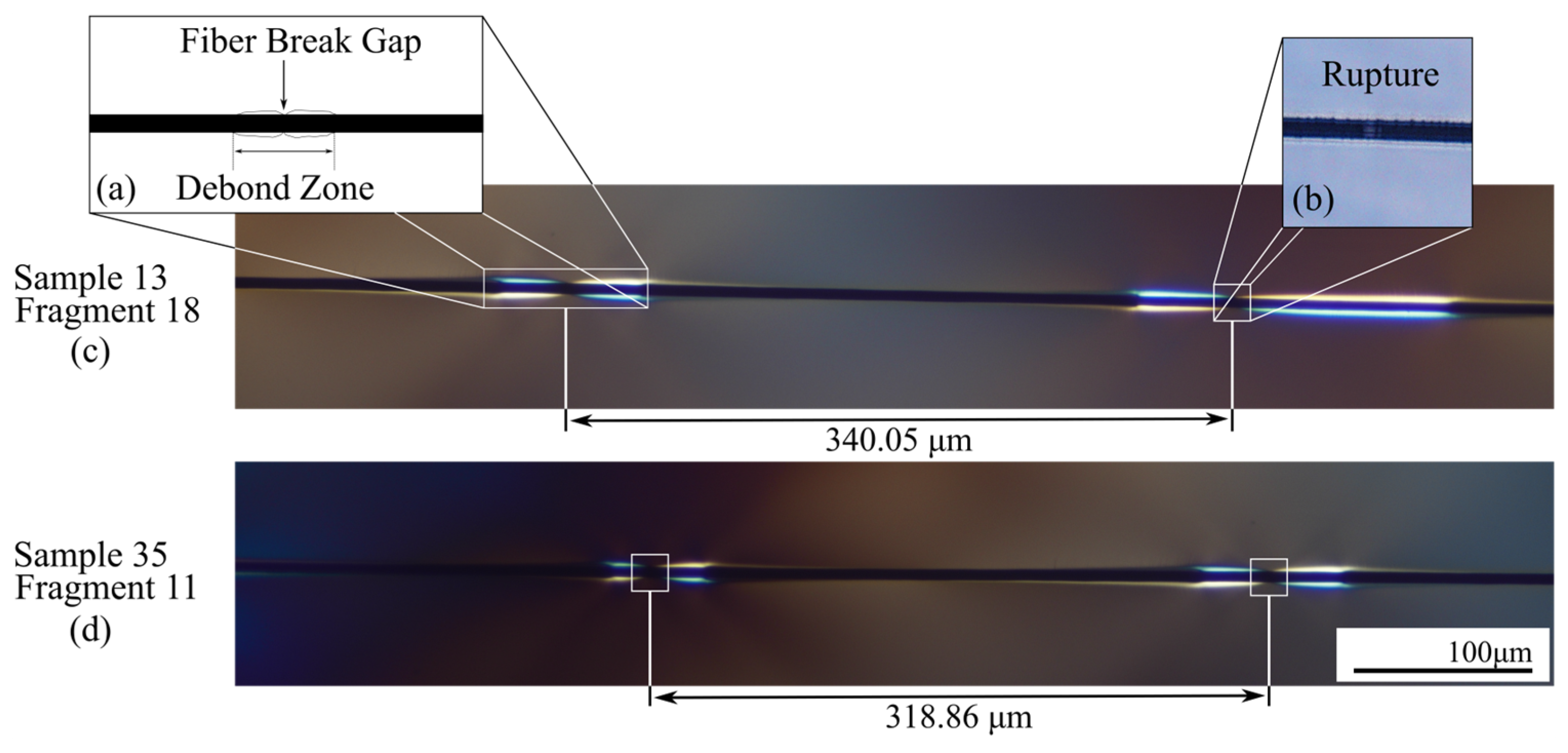 Applsci 15 04517 g004