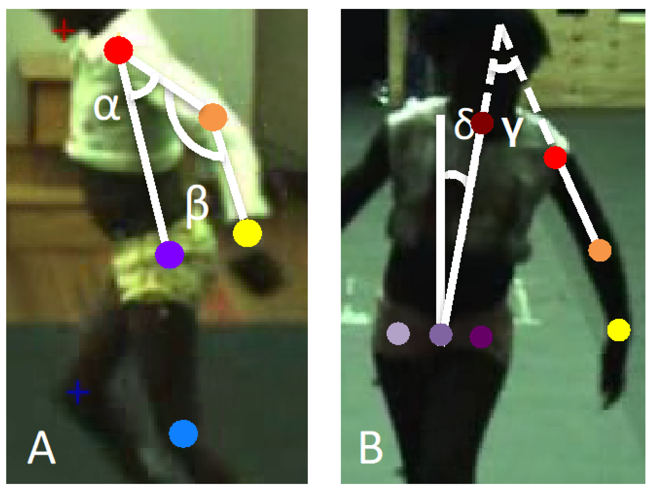 Applsci 15 04546 g002