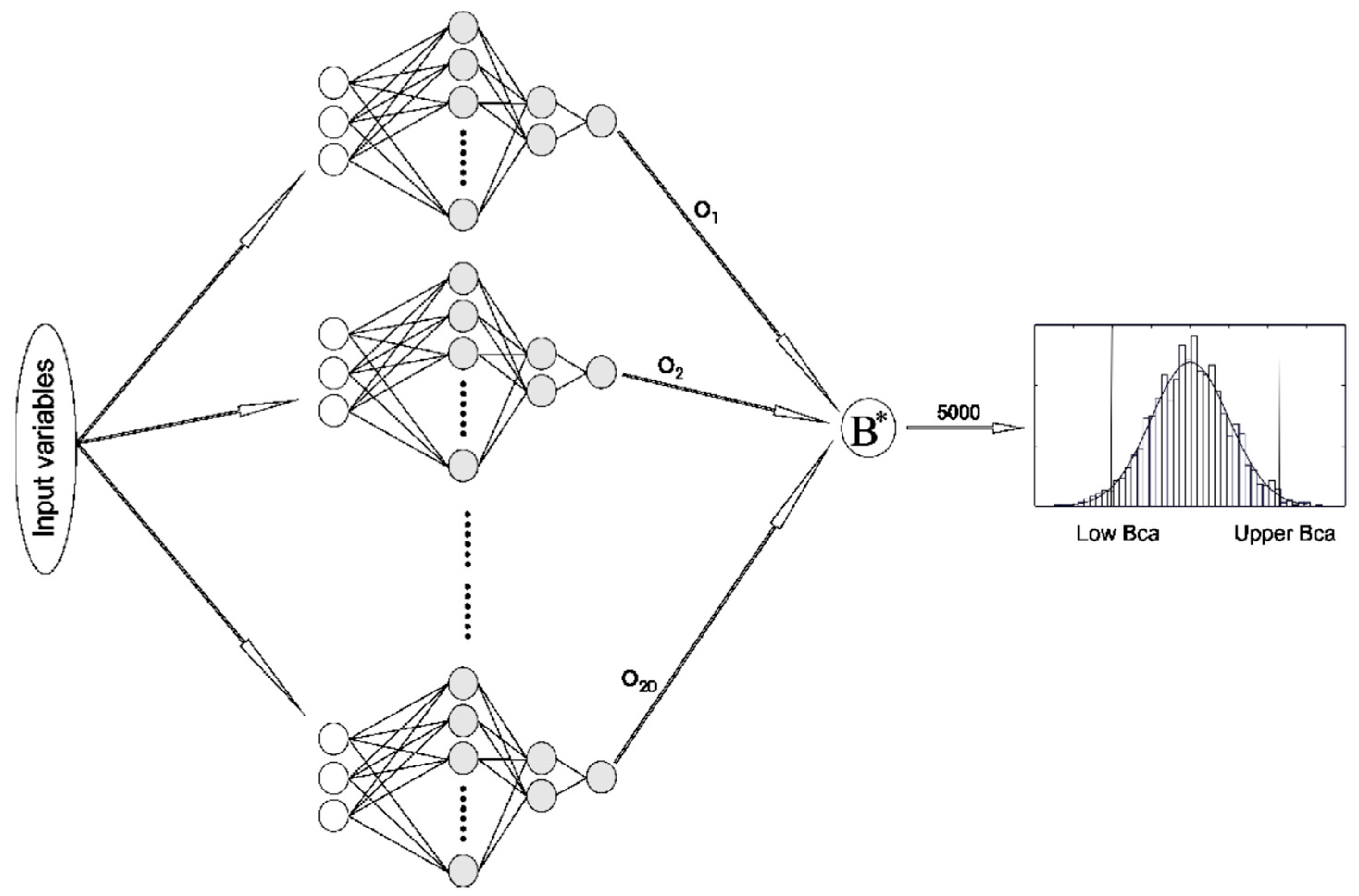 Applsci 15 04554 g003