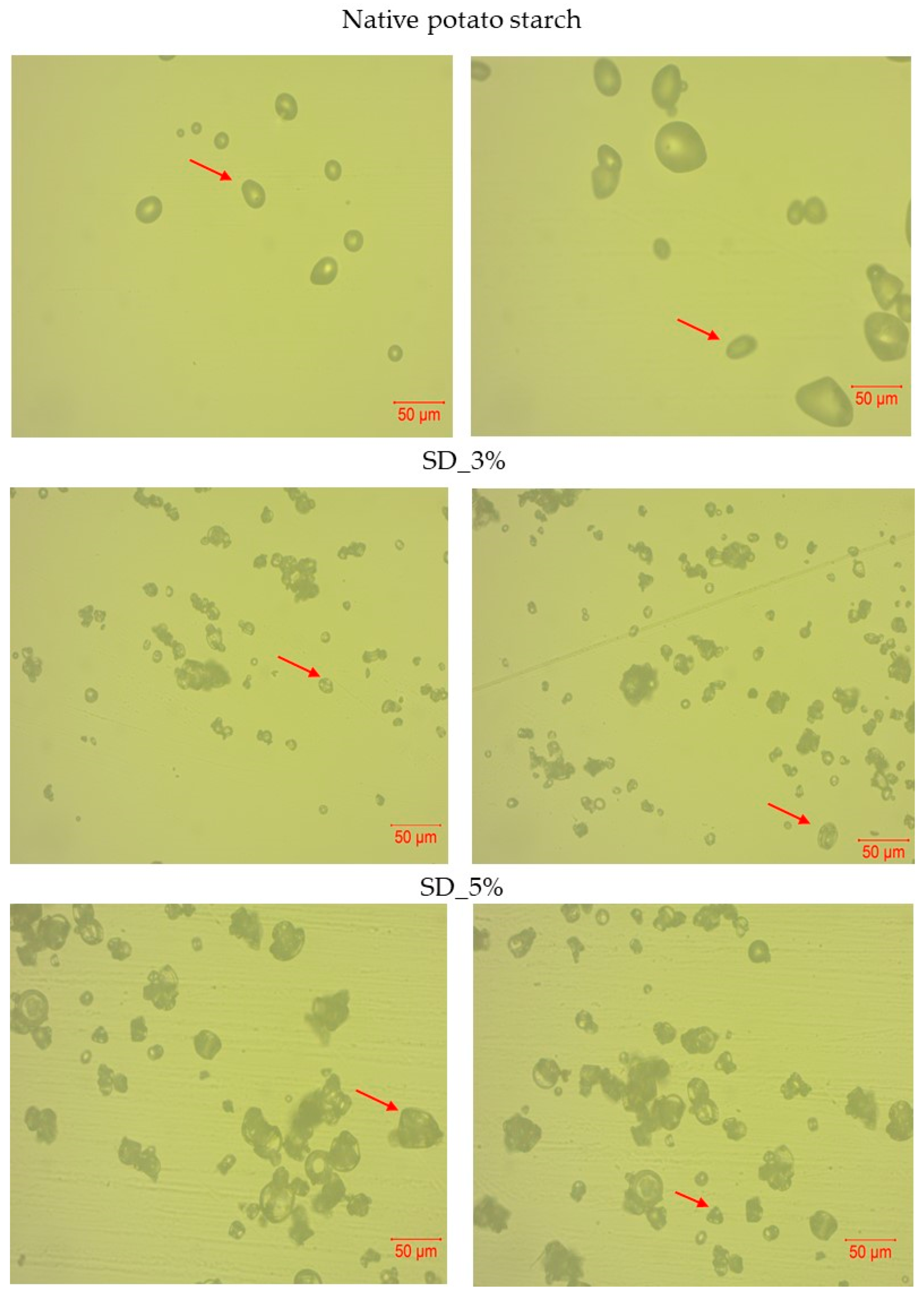 Applsci 15 04566 g003