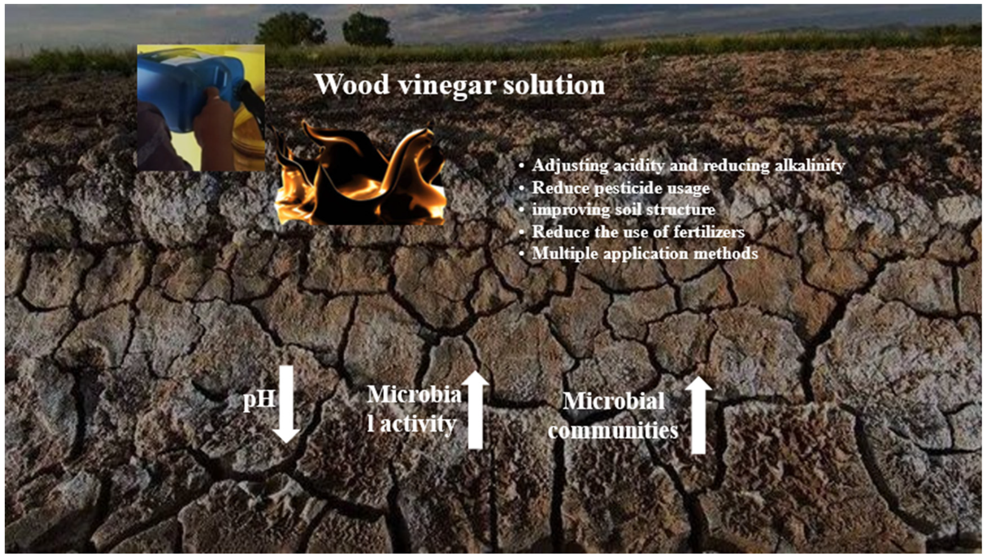 Applsci 15 04567 g006 Applsci 15 04567 g006