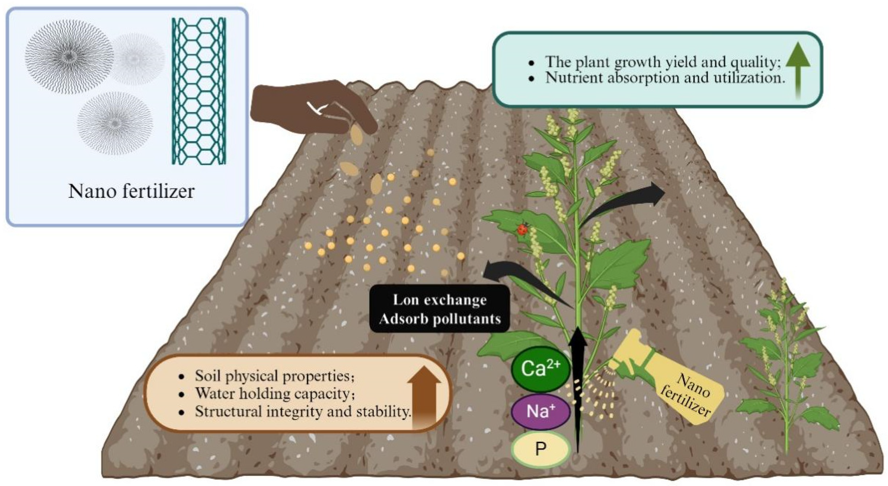 Applsci 15 04567 g007 Applsci 15 04567 g007
