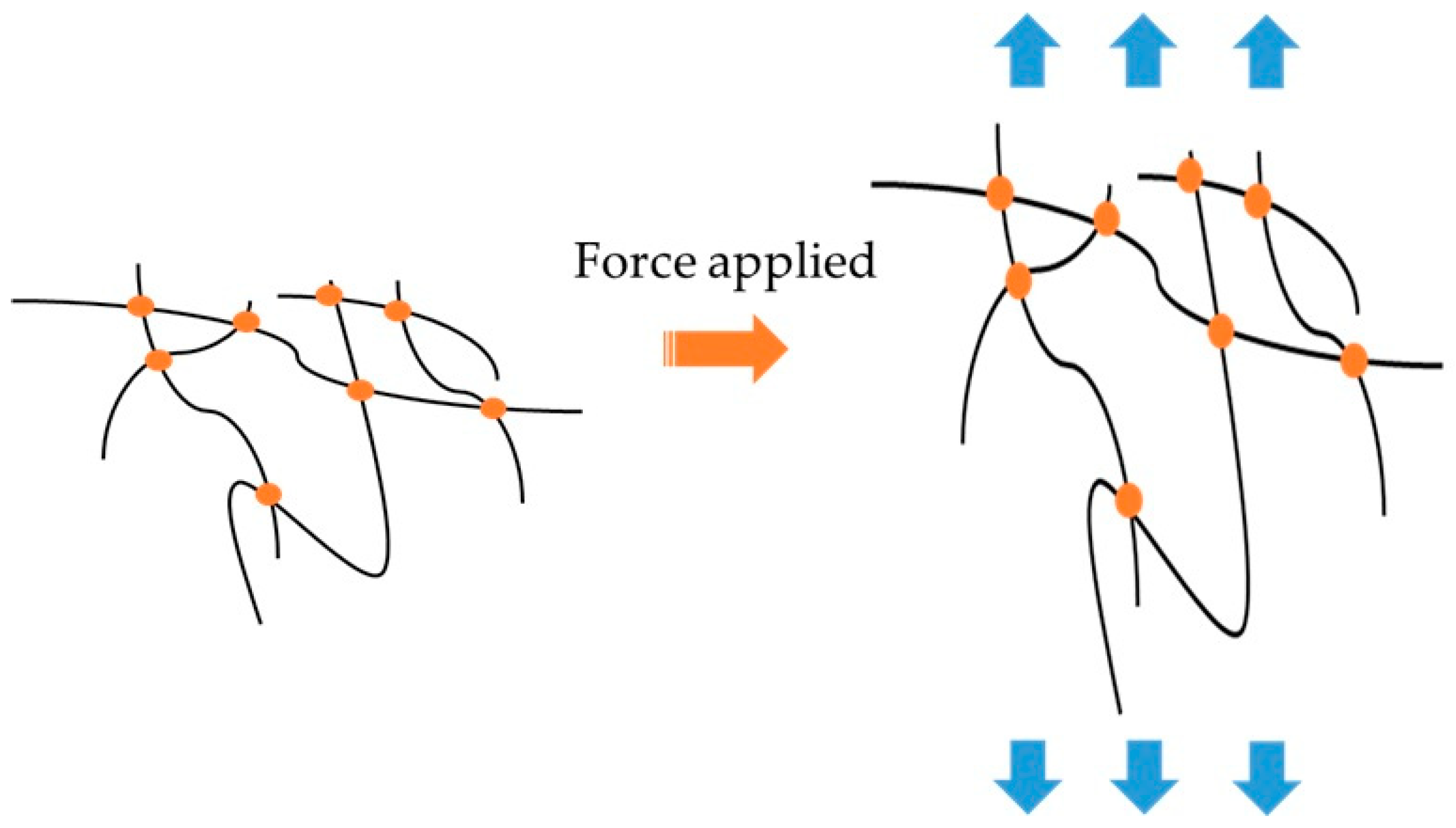 Applsci 15 04618 g009