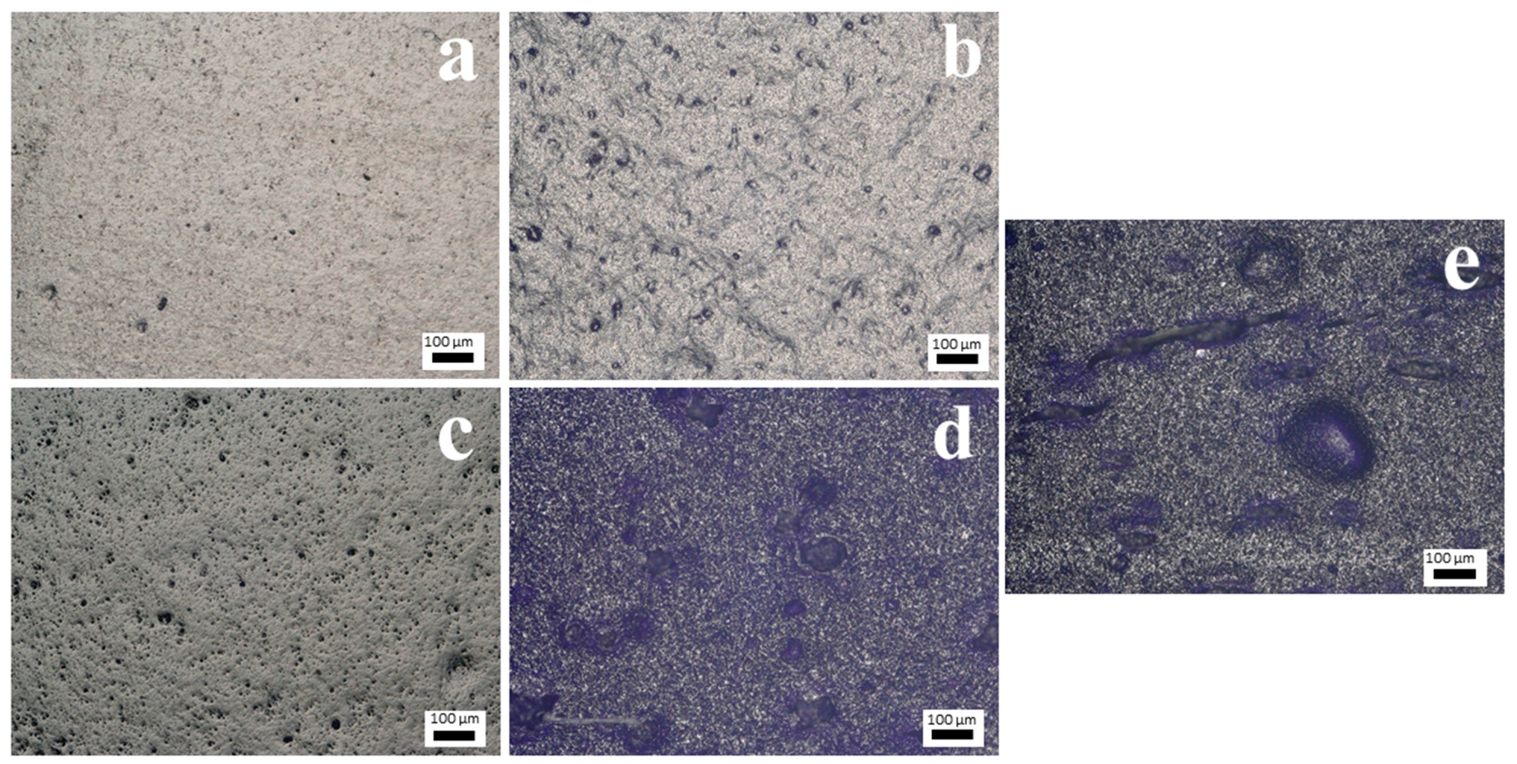 Applsci 15 04630 g002