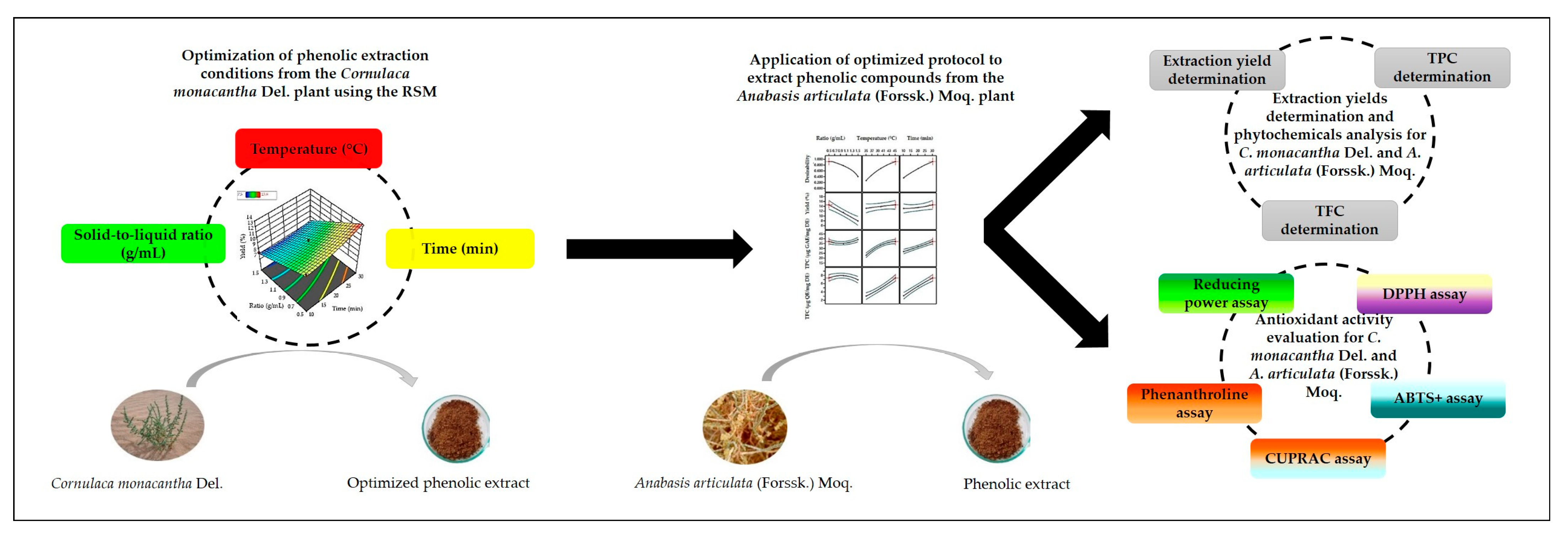 Applsci 15 04688 g001
