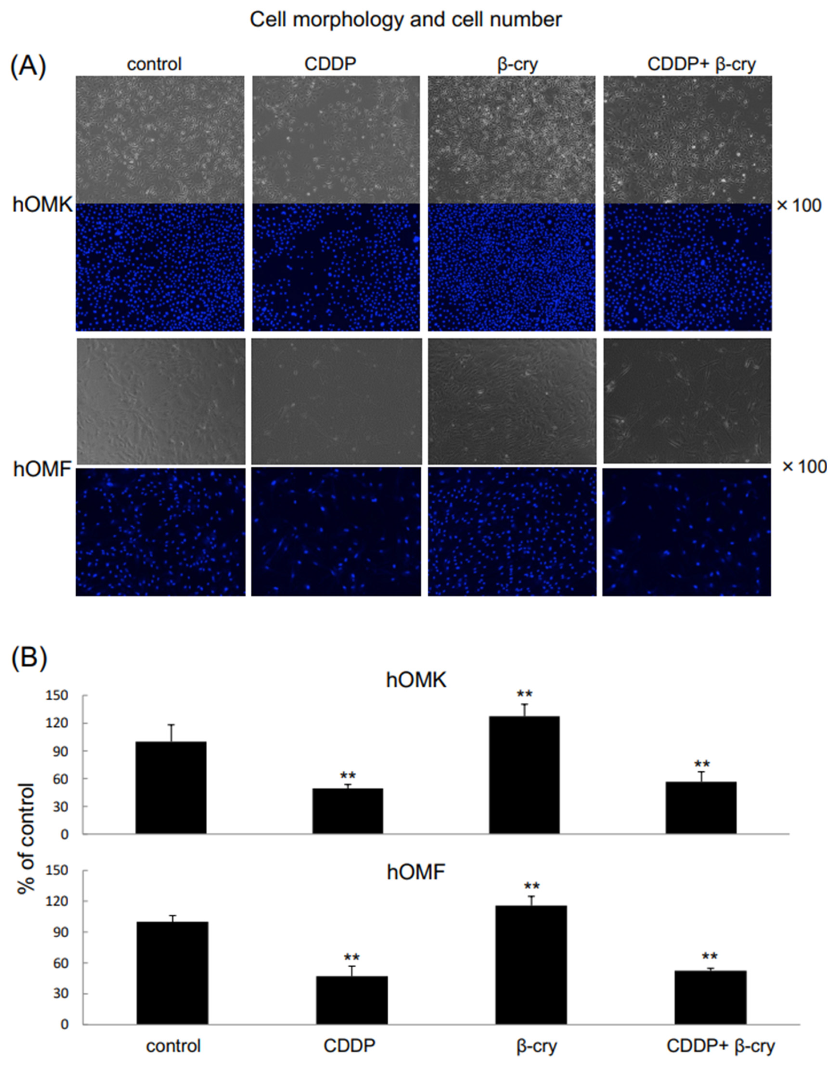 Applsci 15 04803 g001 Applsci 15 04803 g001