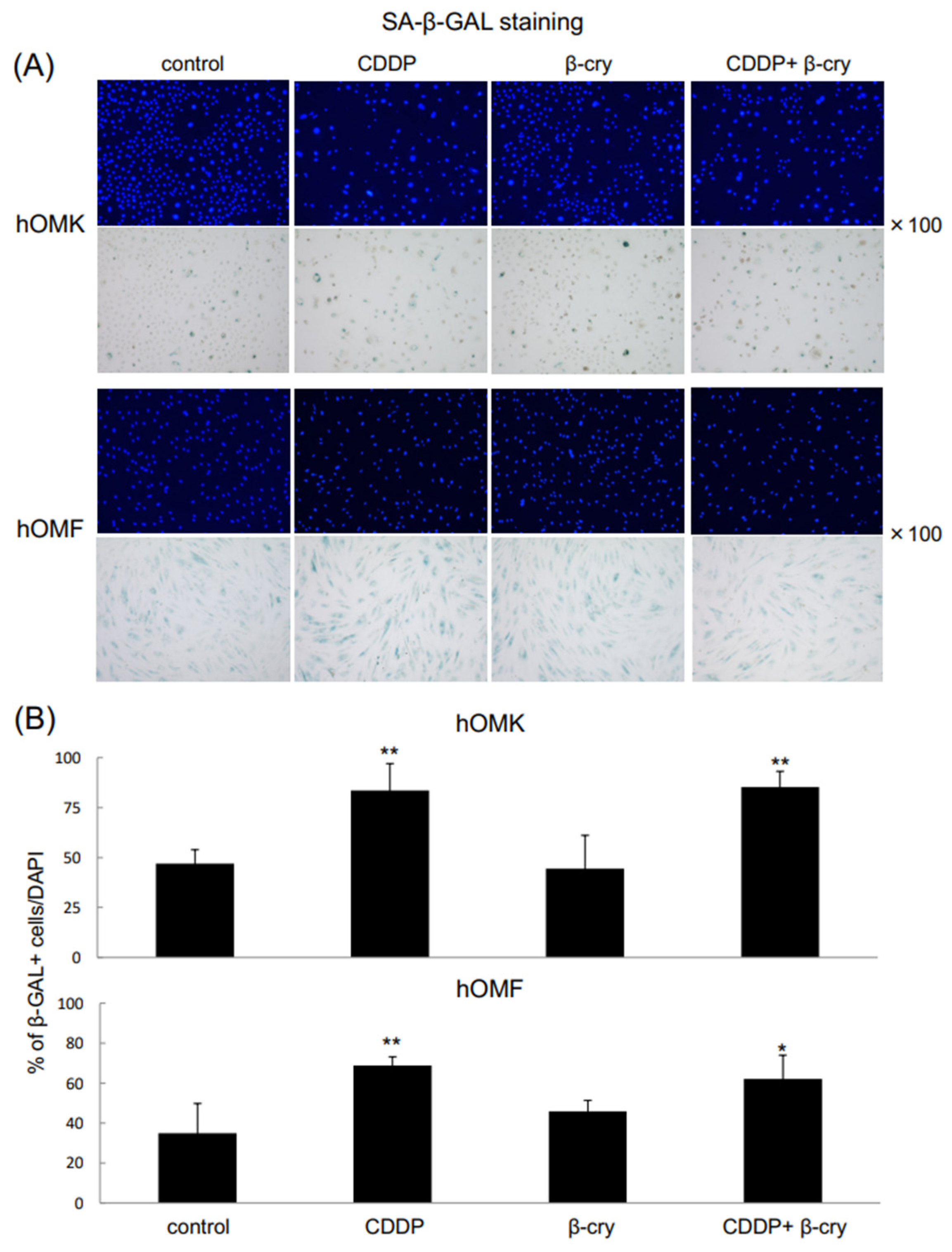 Applsci 15 04803 g005 Applsci 15 04803 g005