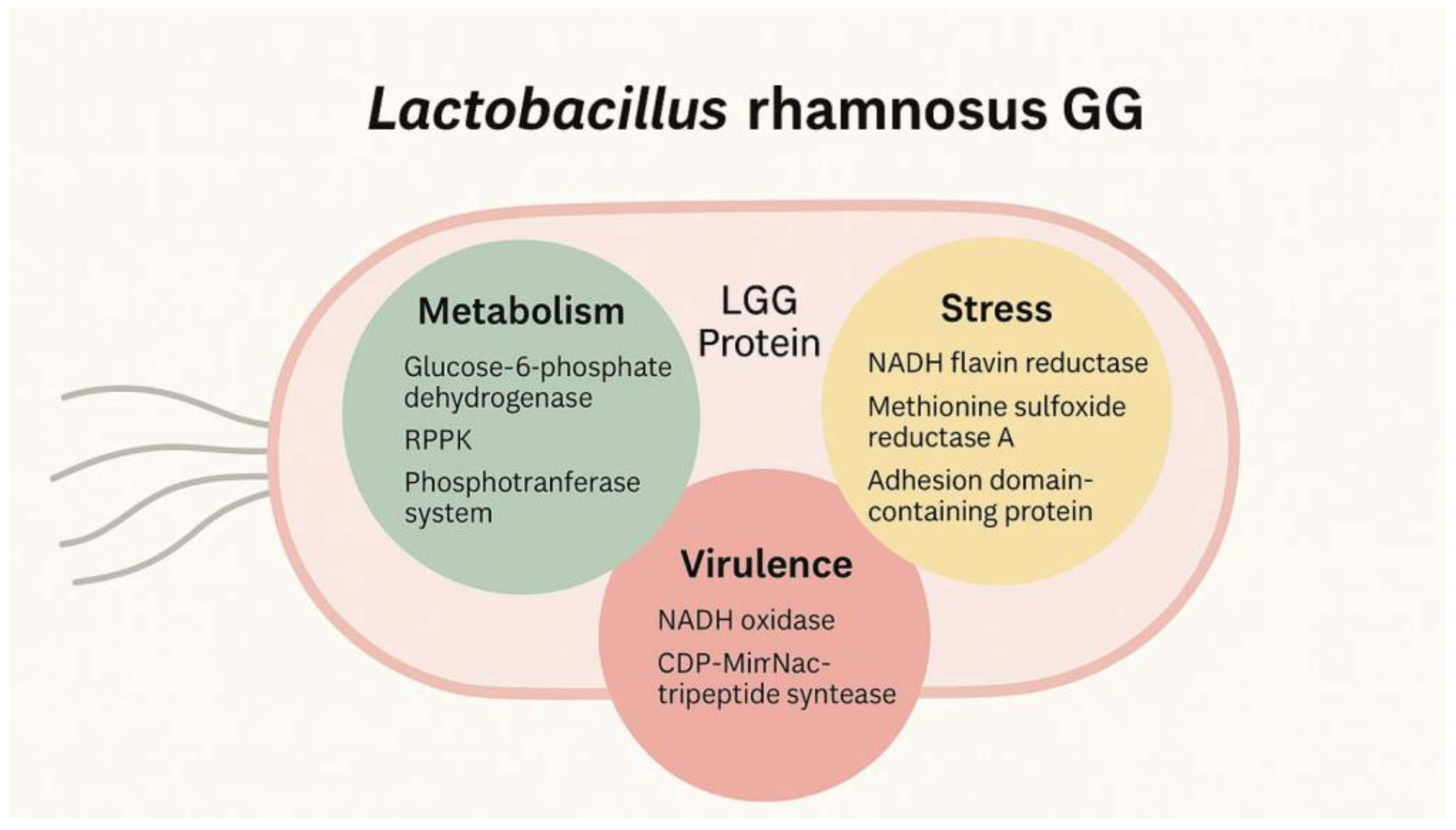Applsci 15 04809 g004