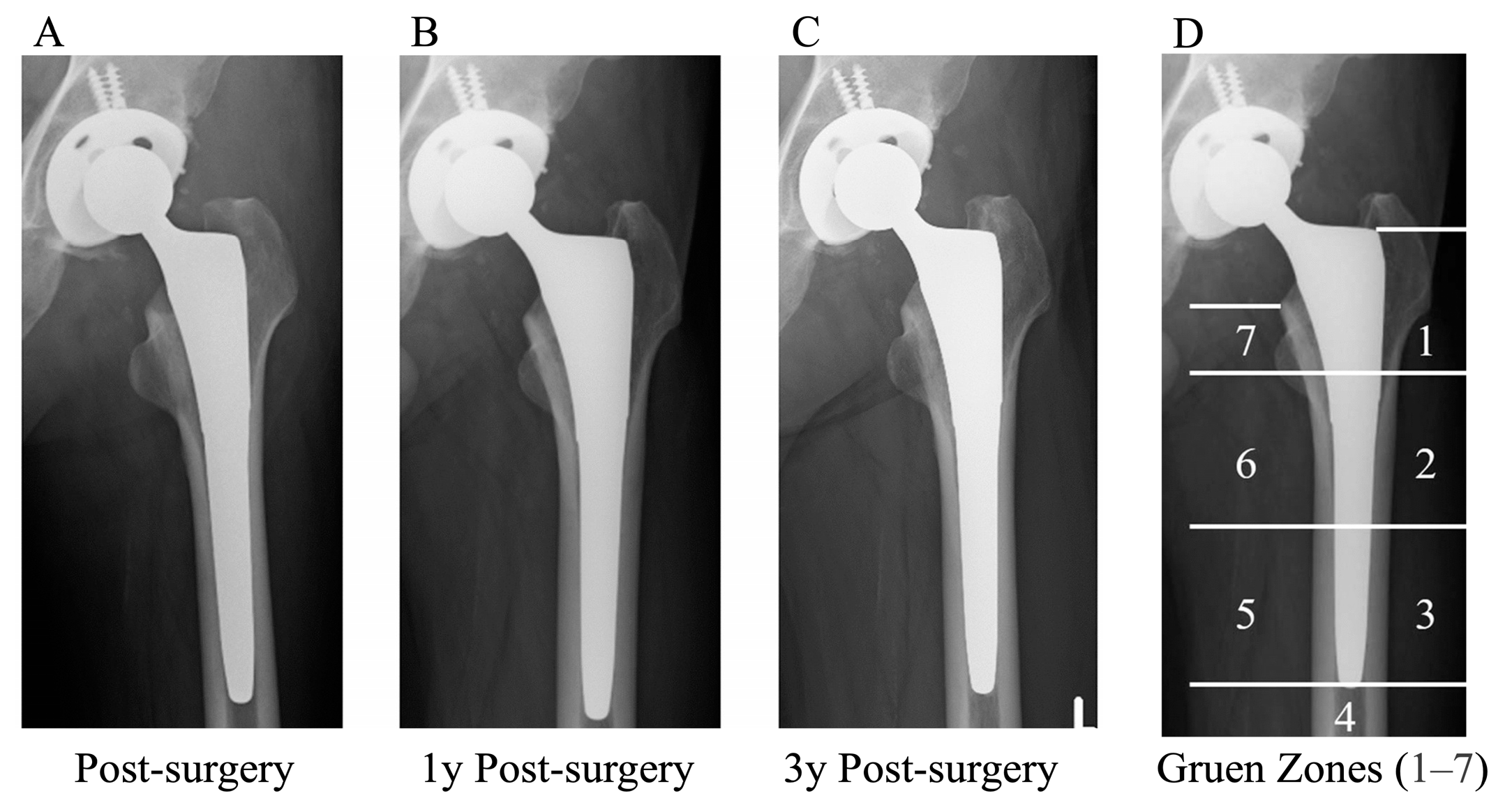 Applsci 15 04827 g008