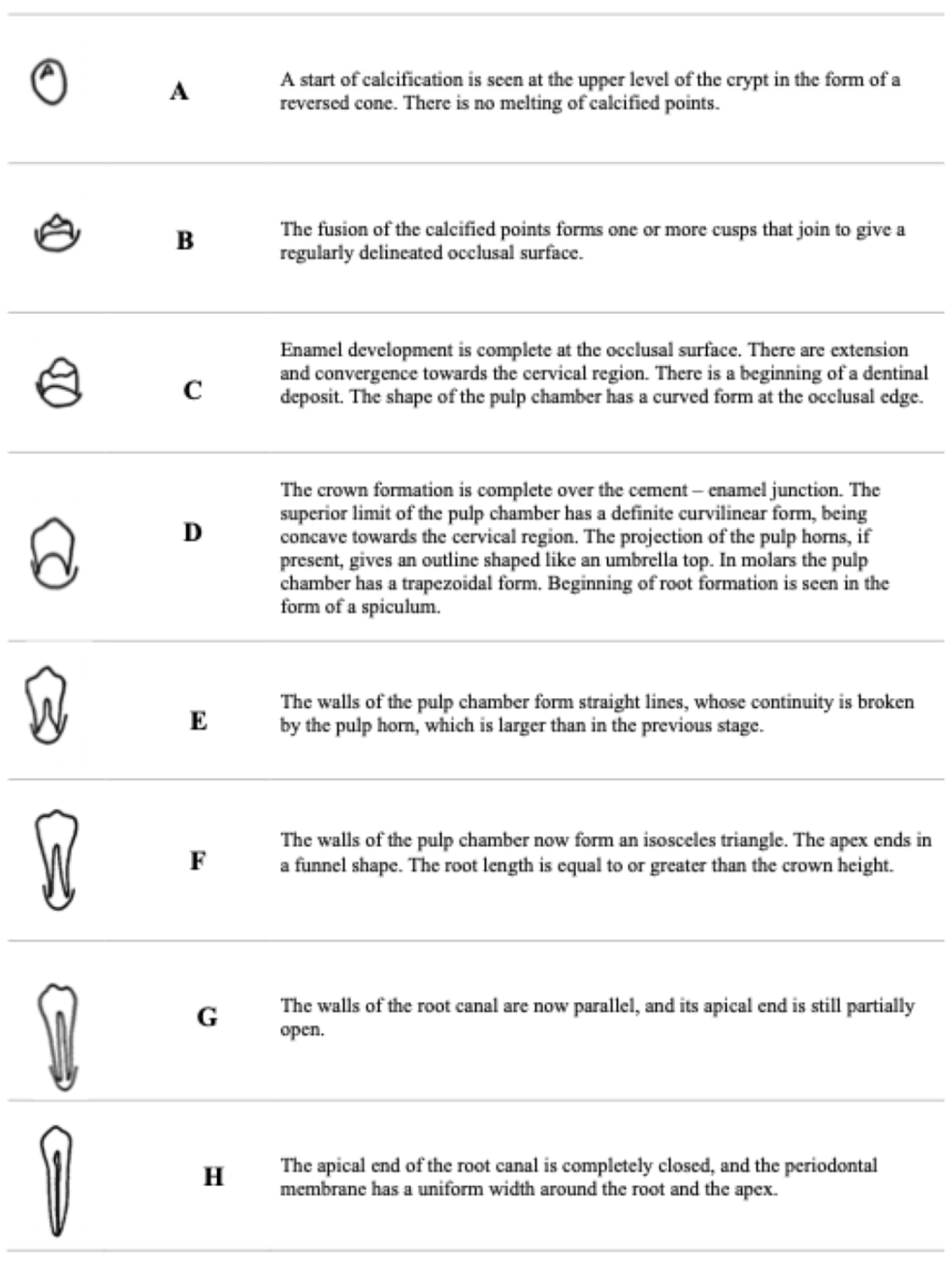 Applsci 15 05593 g002