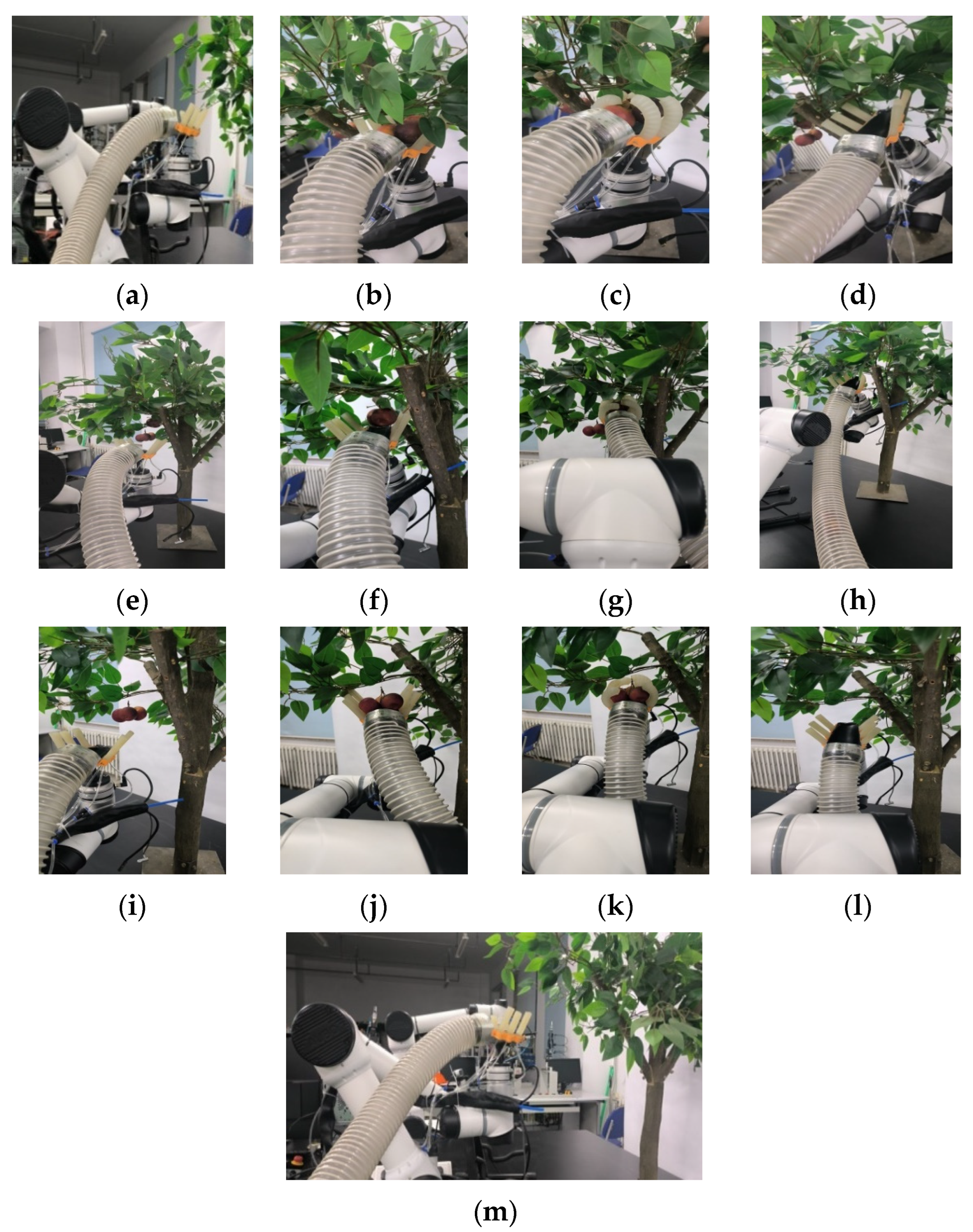 Applsci 15 05724 g020