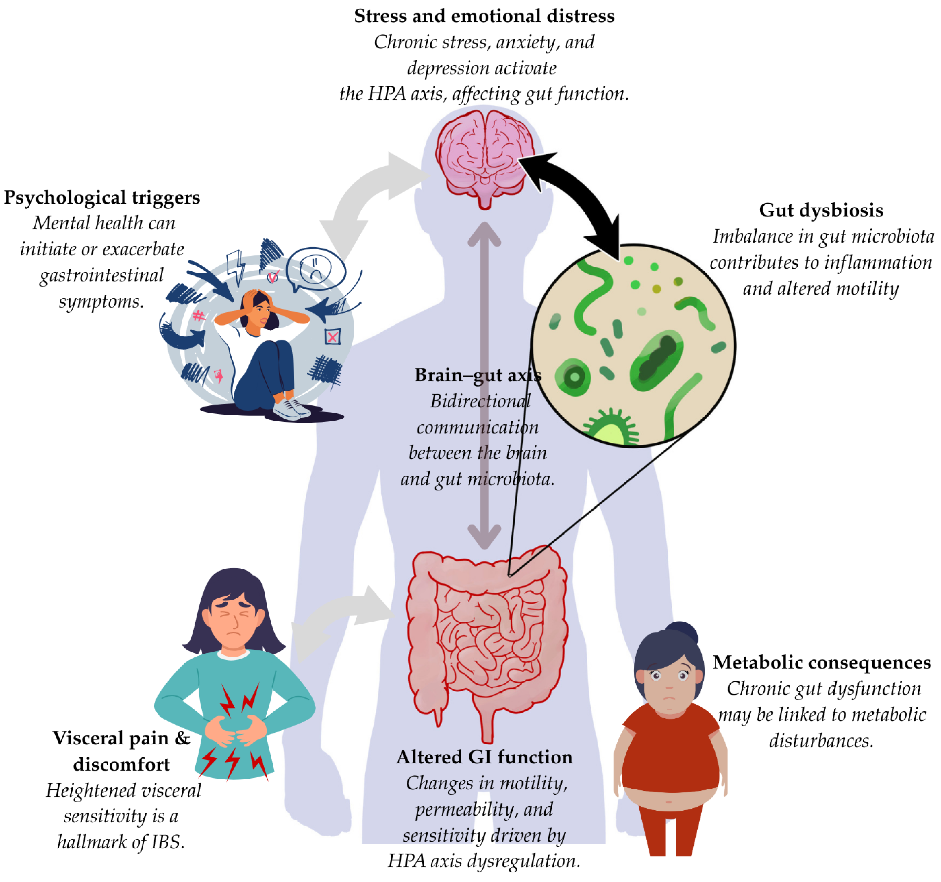 Applsci 15 06441 g002