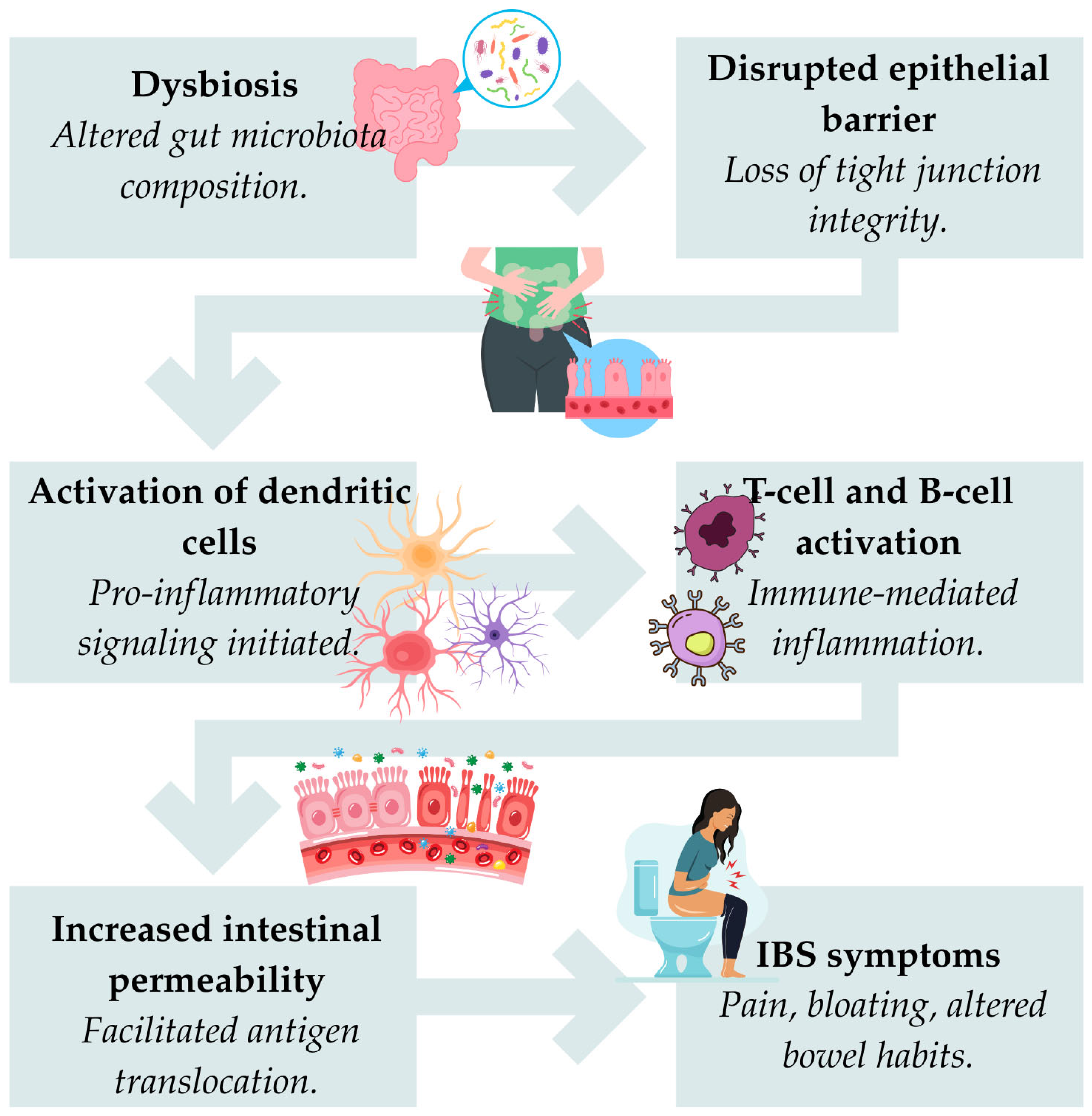 Applsci 15 06441 g003