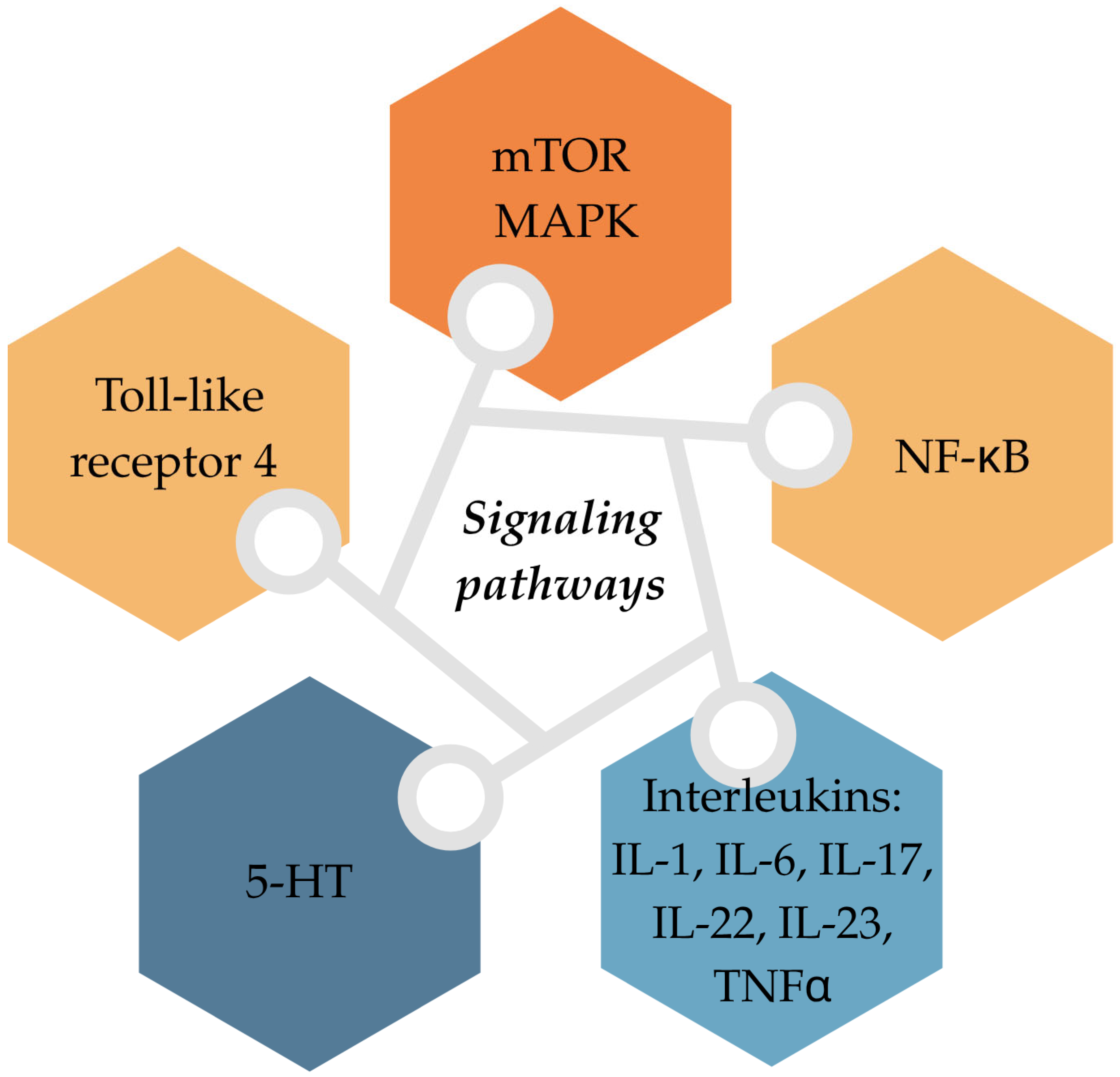 Applsci 15 06441 g005