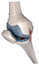 Applsci 15 06472 i003