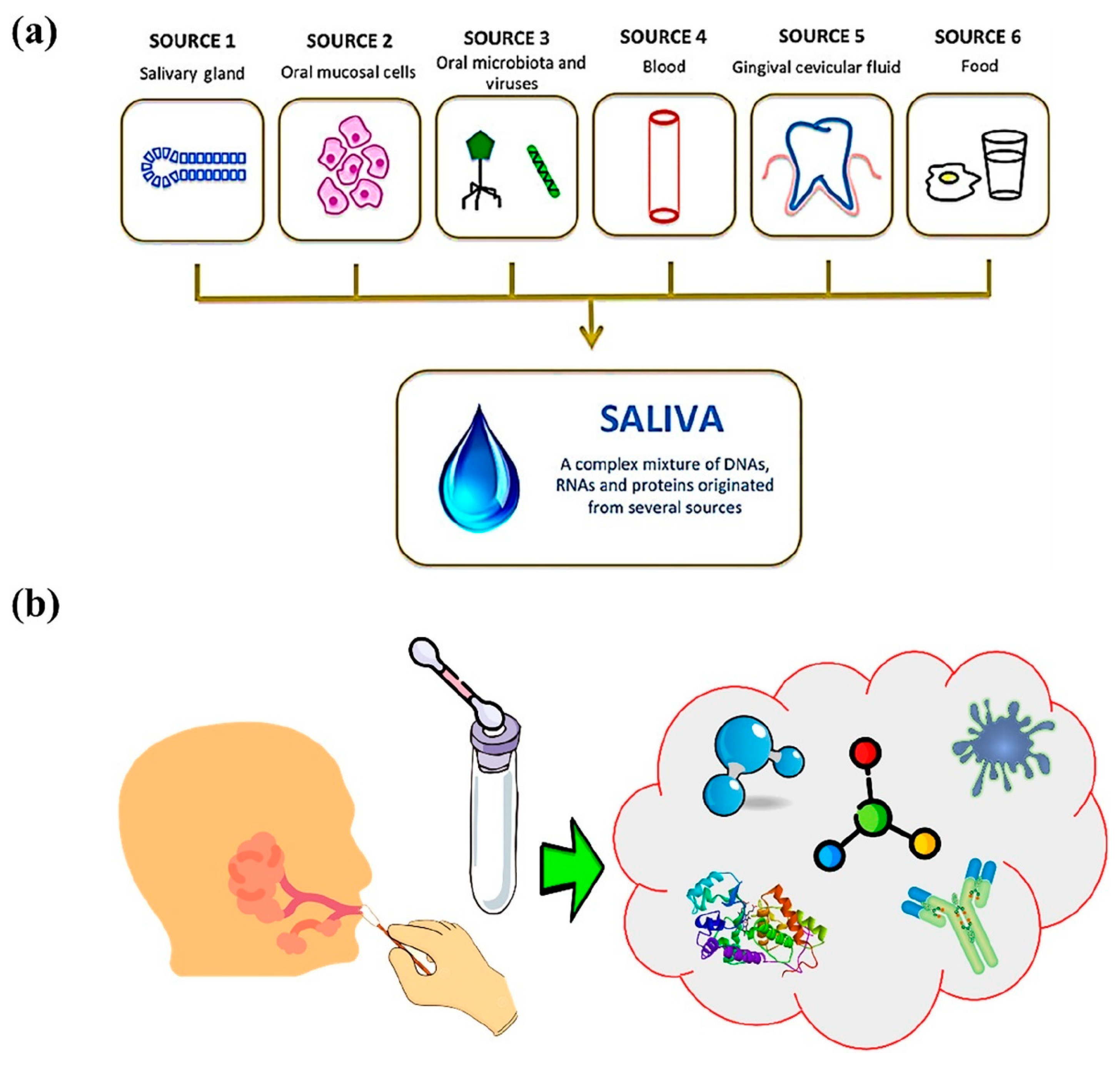 Applsci 15 06642 g001 Applsci 15 06642 g001