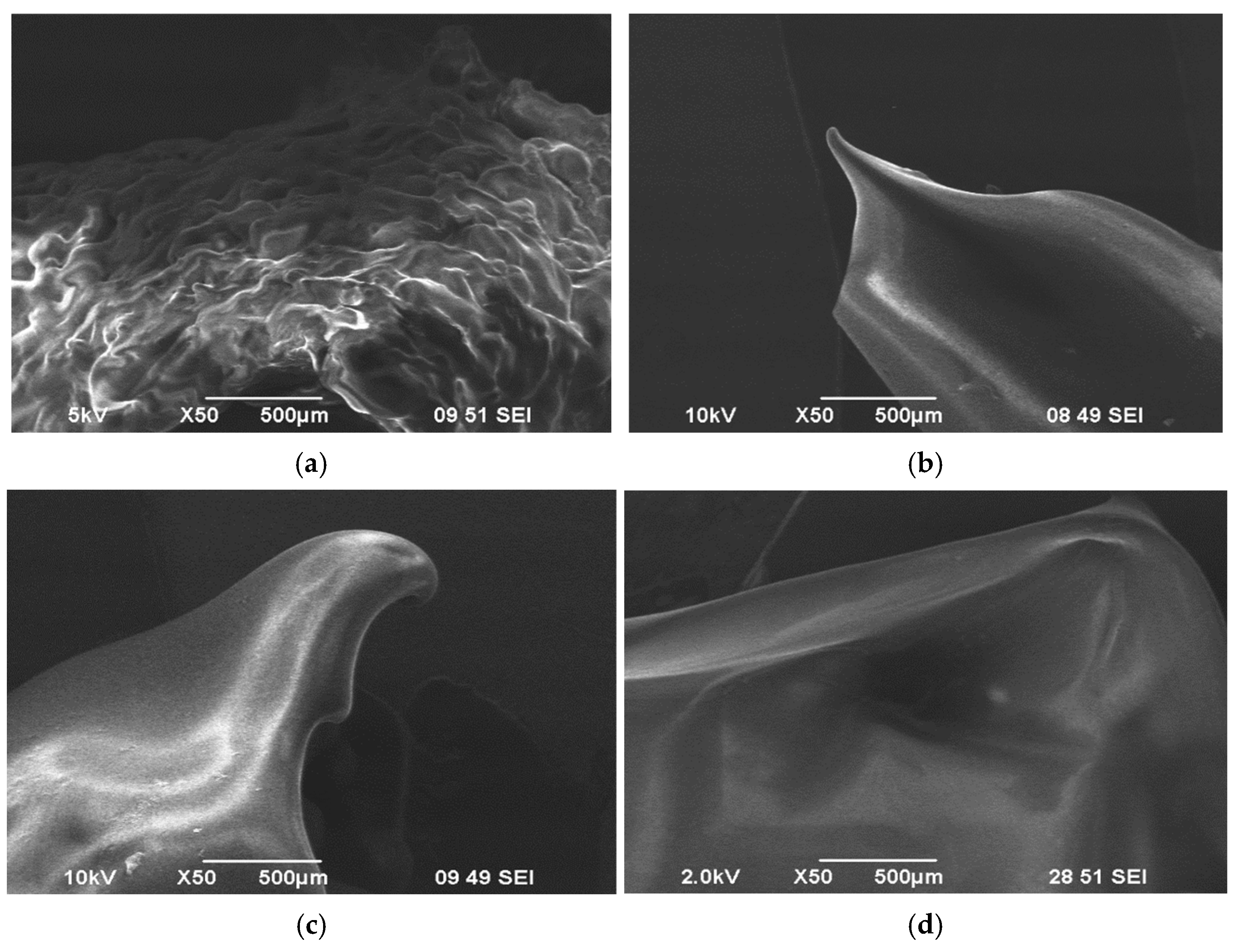 Applsci 15 06757 g004