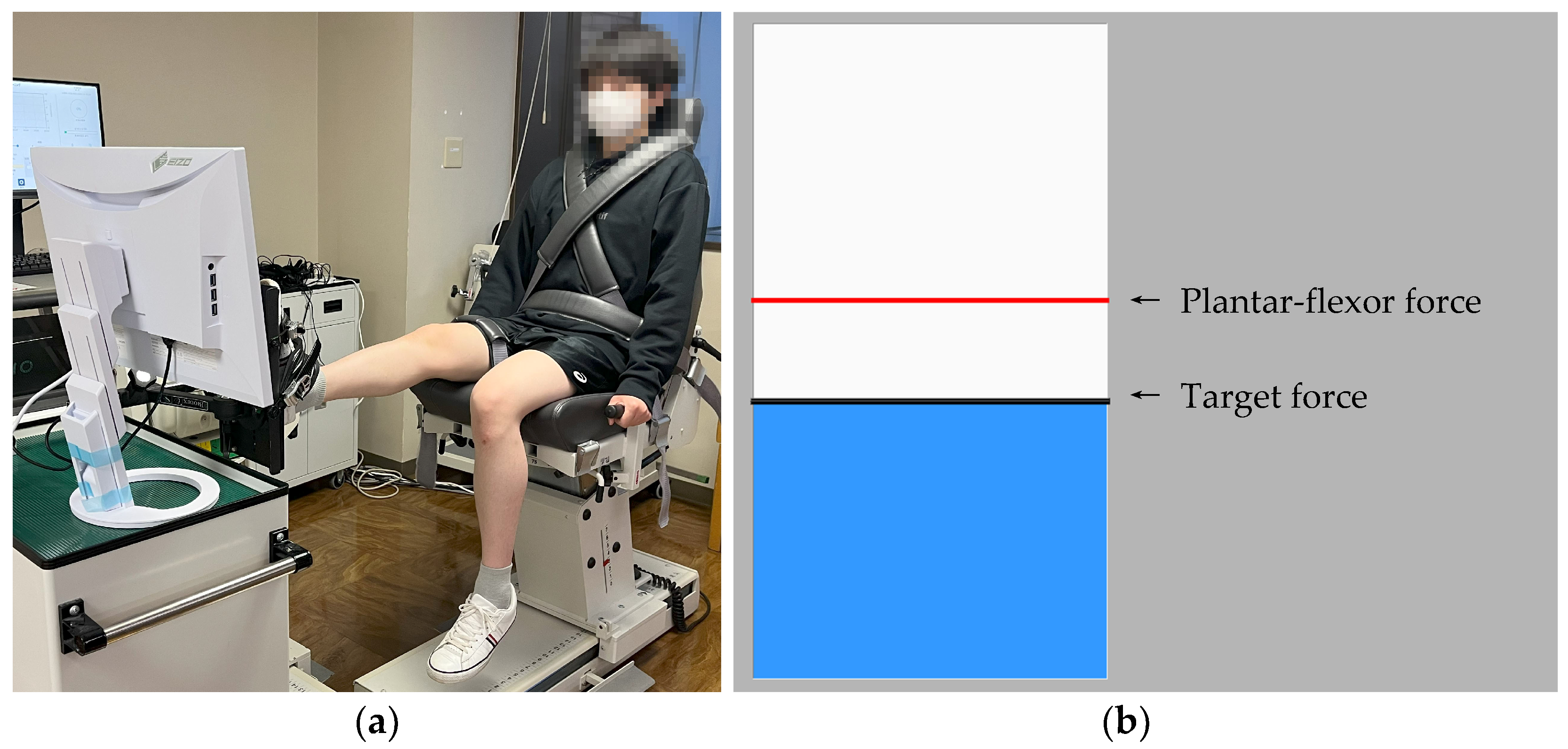 Applsci 15 07294 g001 Applsci 15 07294 g001