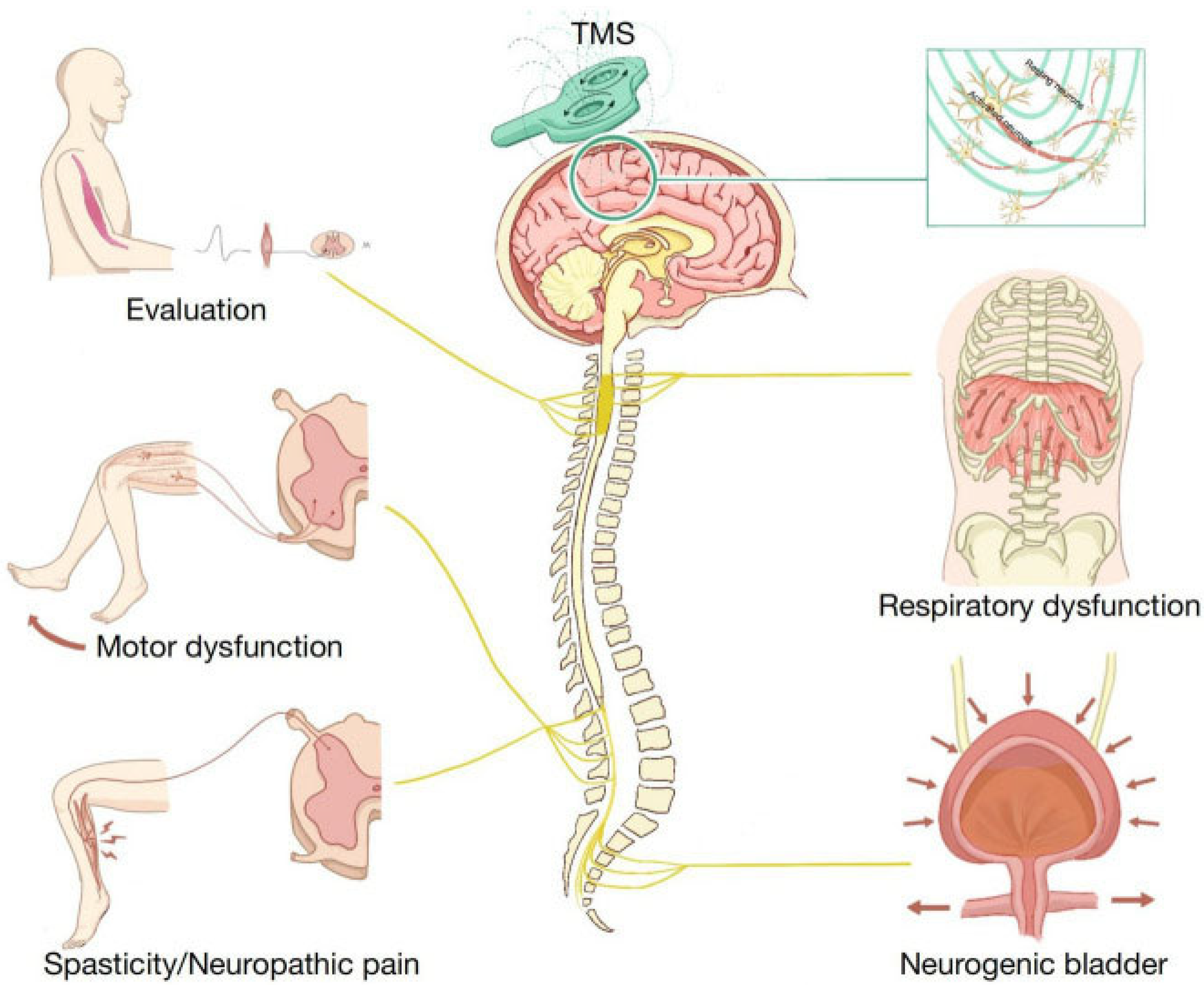 Applsci 15 08488 g006