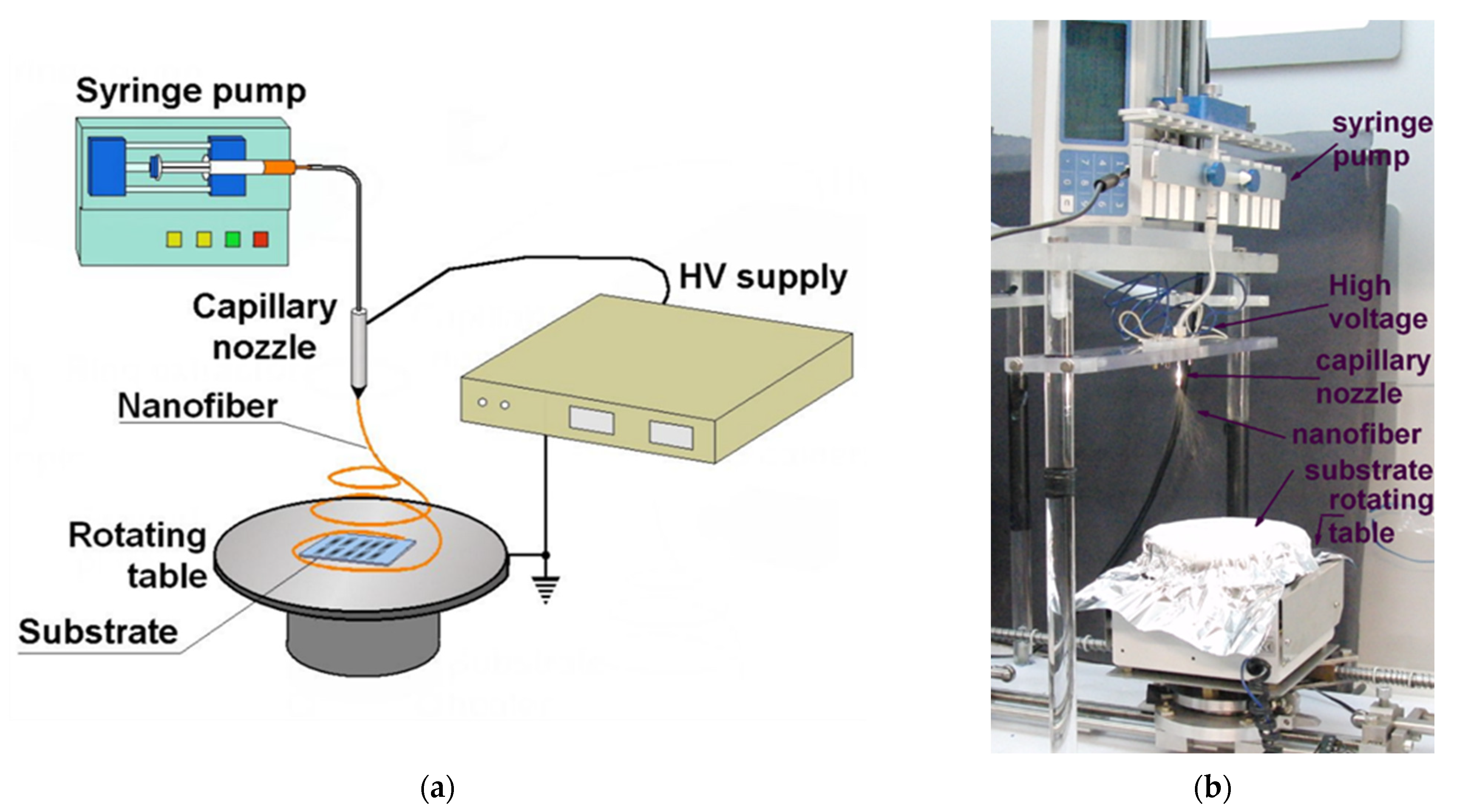 Applsci 15 08728 g001 Applsci 15 08728 g001