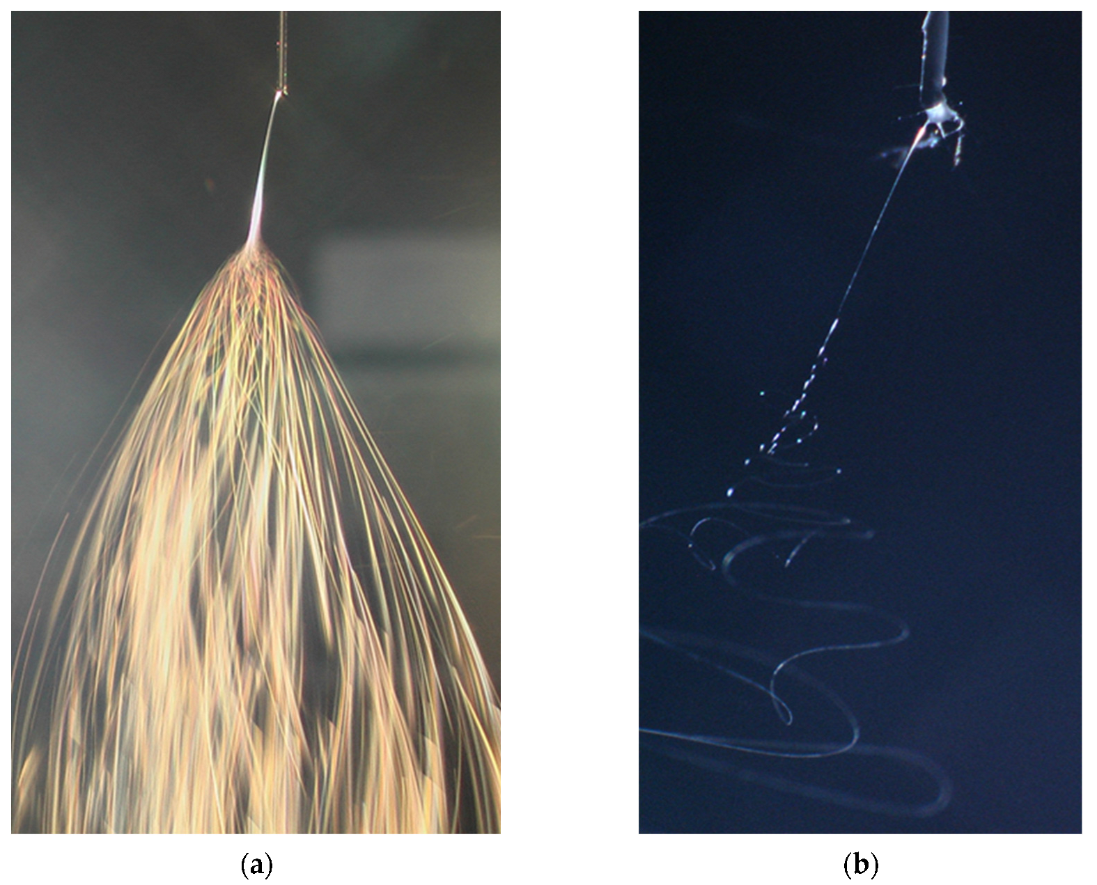 Applsci 15 08728 g002 Applsci 15 08728 g002