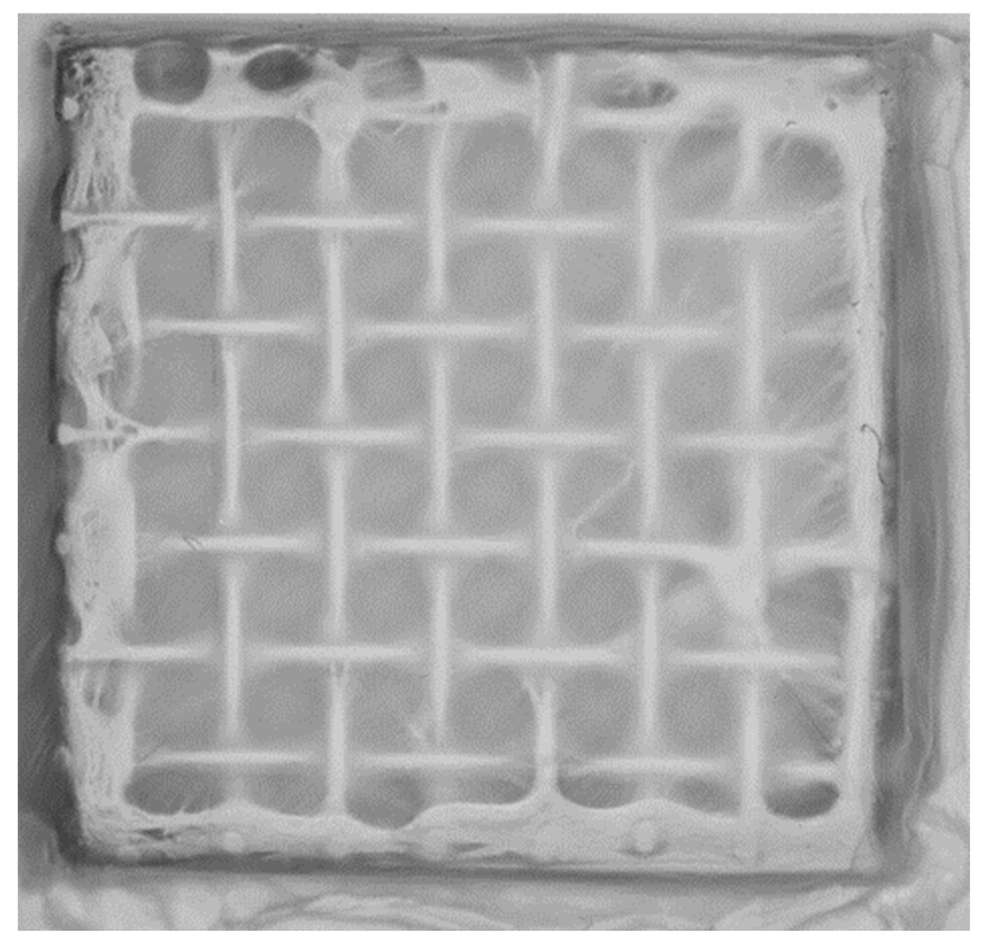 Applsci 15 08728 g003 Applsci 15 08728 g003