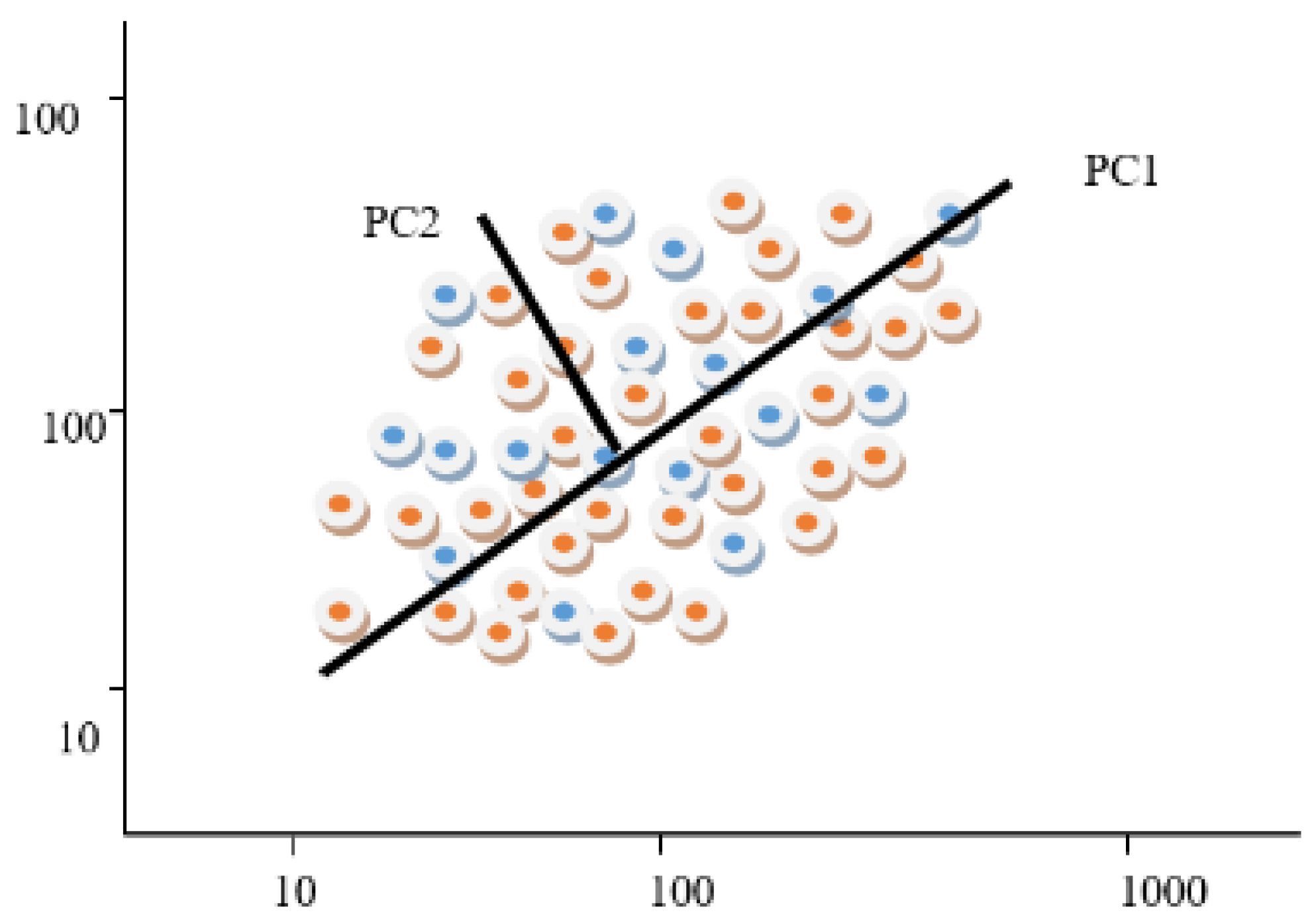 Applsci 15 09047 g001 Applsci 15 09047 g001