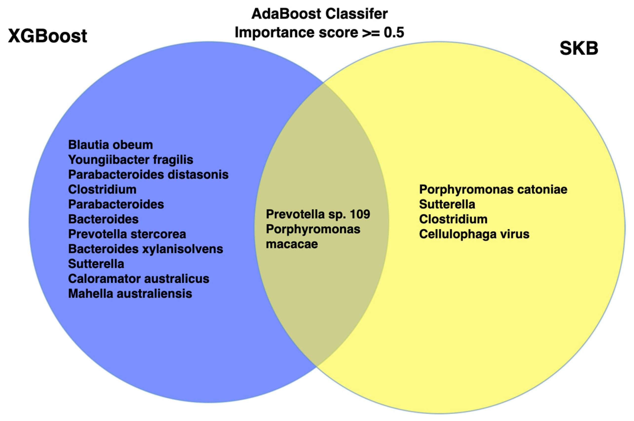 Applsci 15 09214 g005 Applsci 15 09214 g005