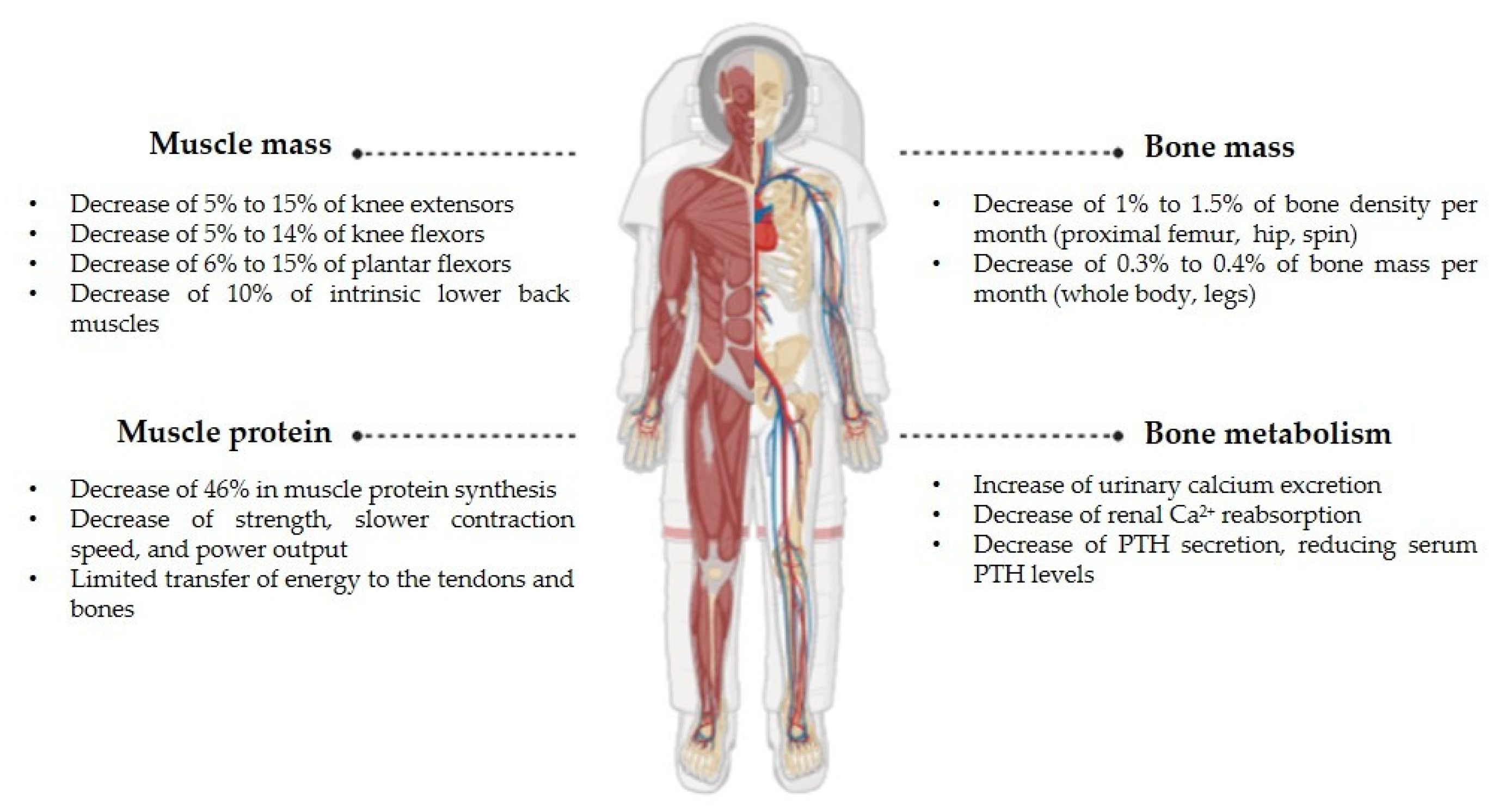 Applsci 15 09220 g004 Applsci 15 09220 g004