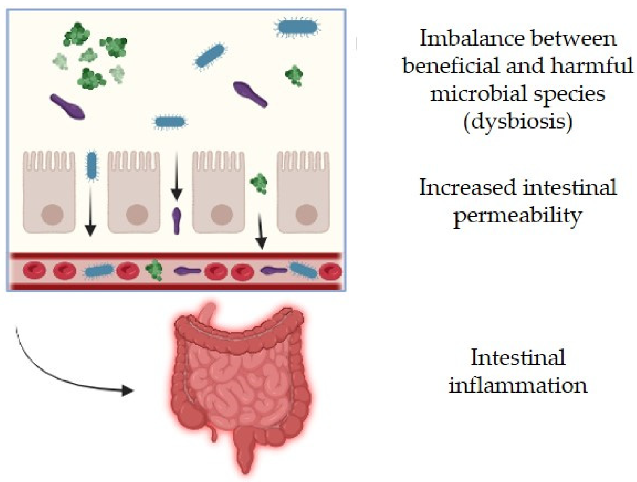 Applsci 15 09220 g005 Applsci 15 09220 g005