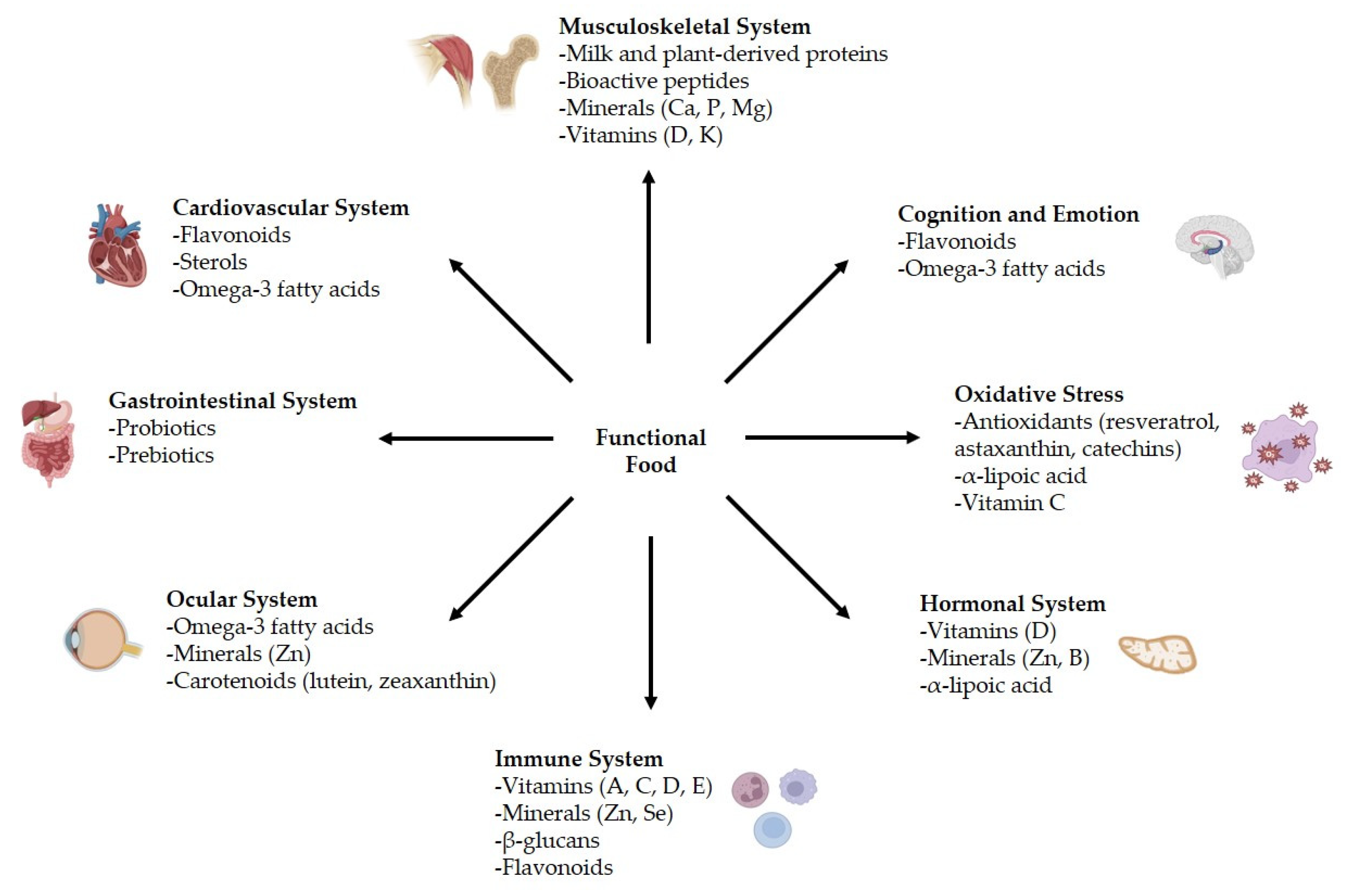 Applsci 15 09220 g006 Applsci 15 09220 g006