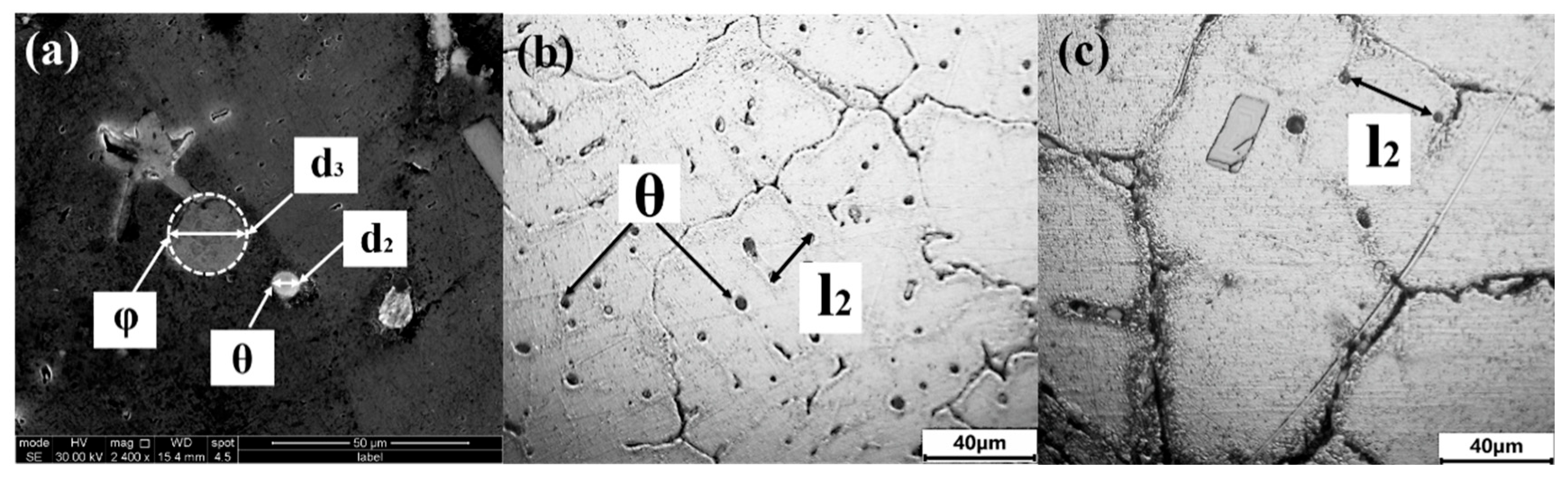 Applsci 15 09478 g009 Applsci 15 09478 g009