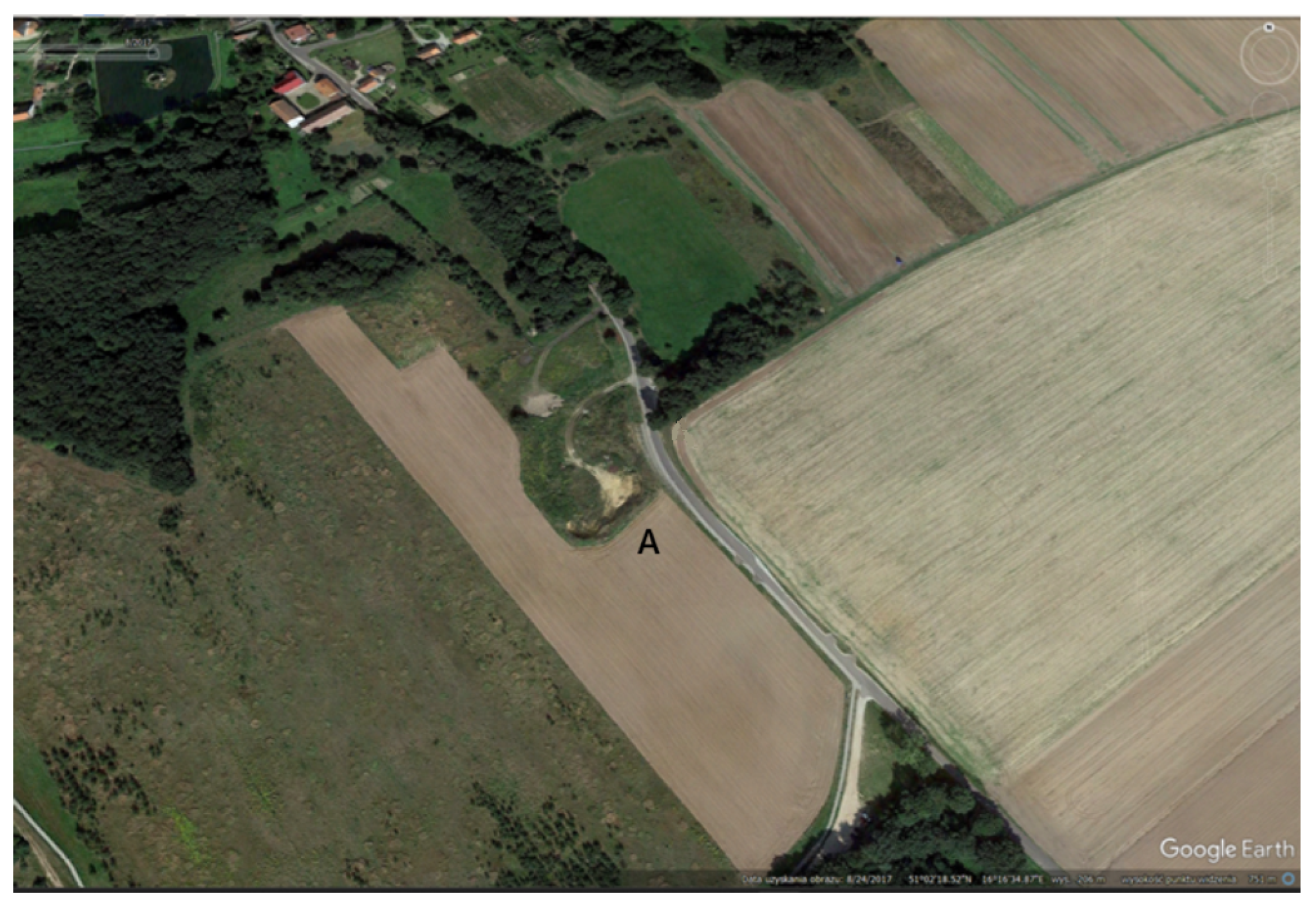 Applsci 15 09785 g017 Applsci 15 09785 g017