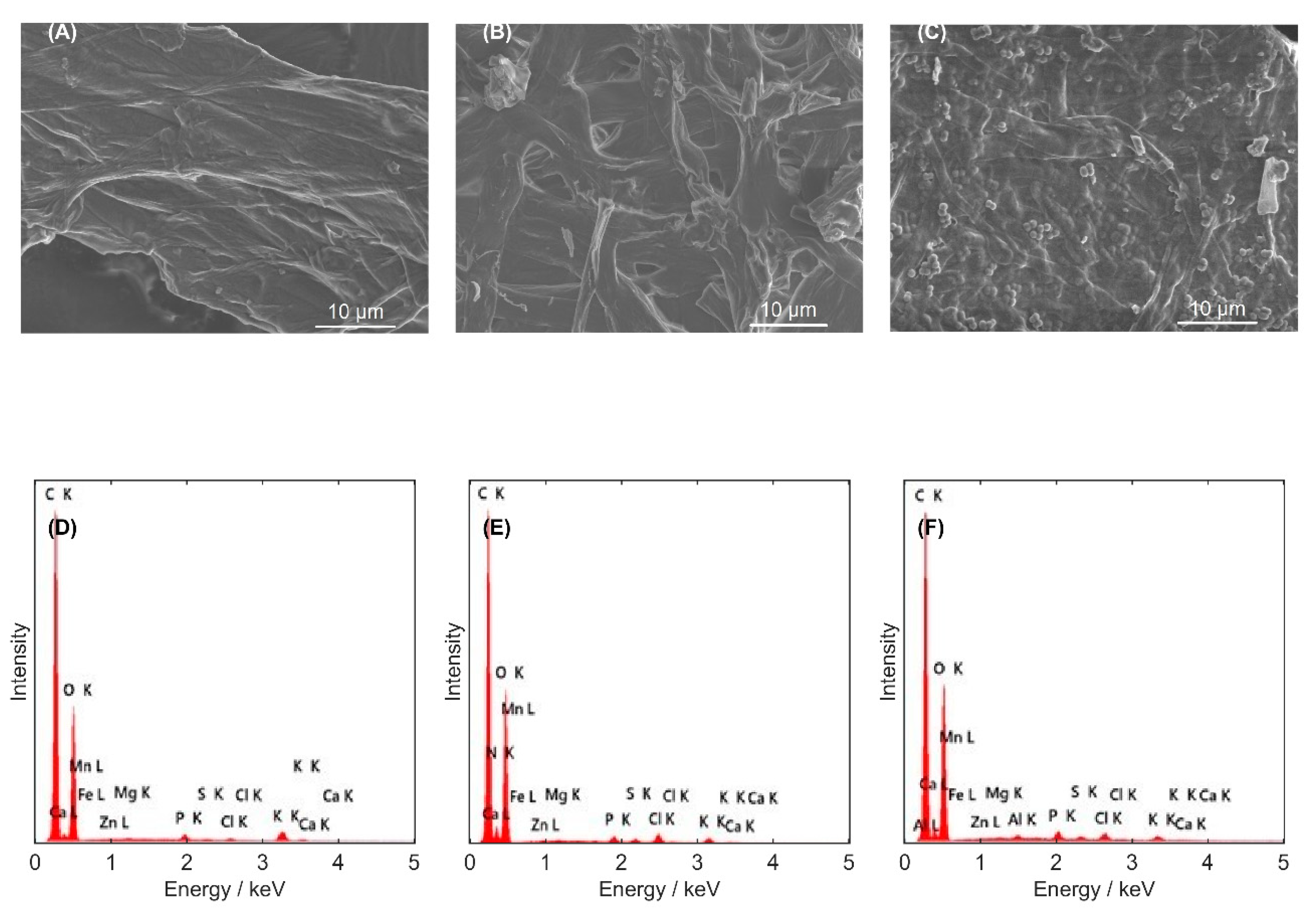 Applsci 15 10311 g002 Applsci 15 10311 g002