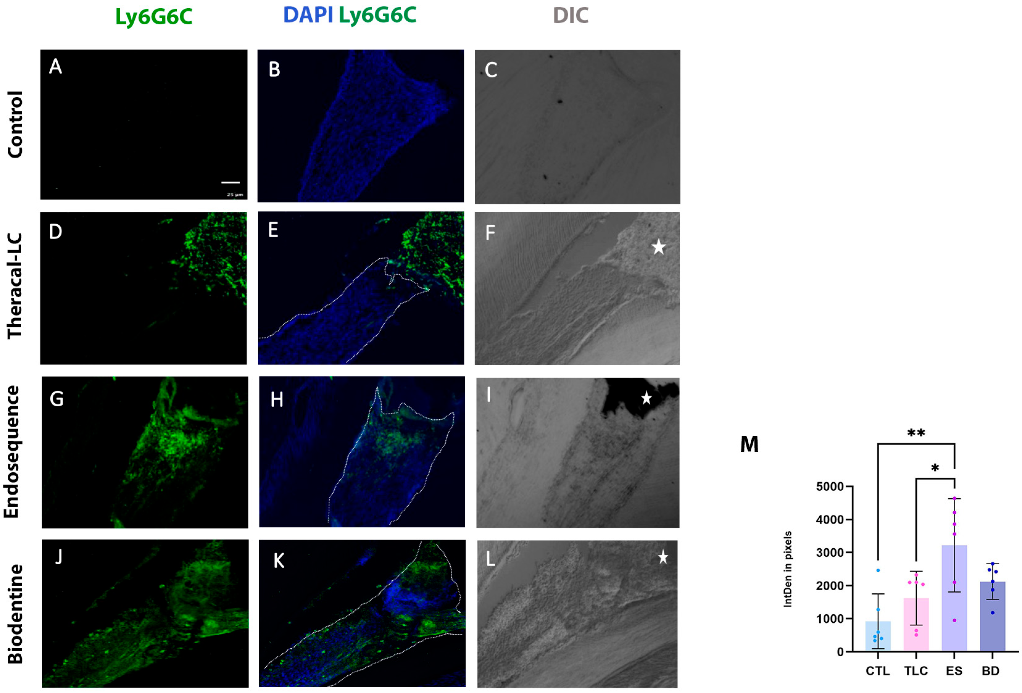 Applsci 15 10639 g002 Applsci 15 10639 g002