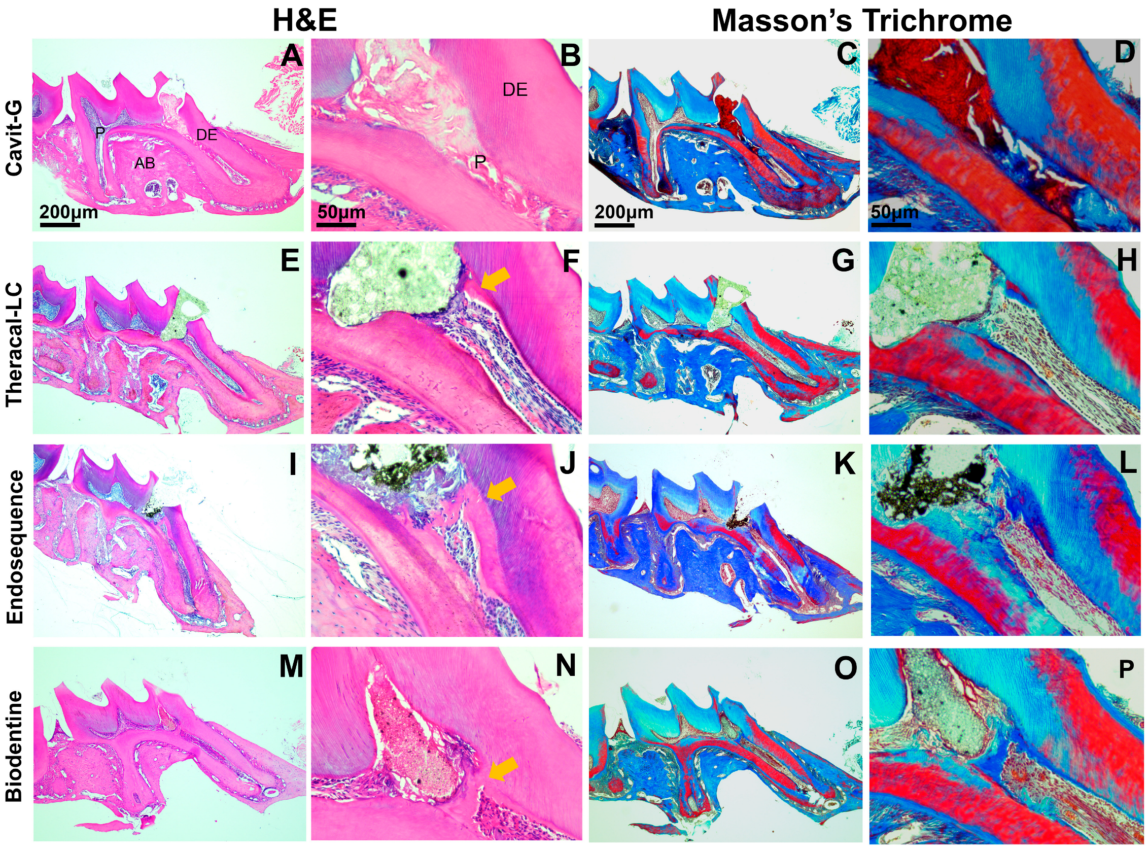 Applsci 15 10639 g004 Applsci 15 10639 g004