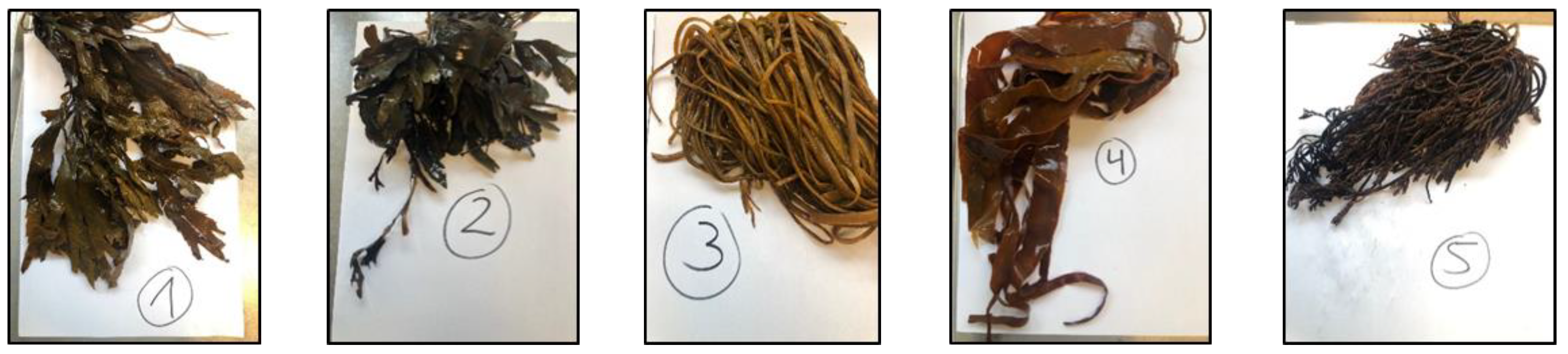 Aquacj 03 00015 g002 Aquacj 03 00015 g002