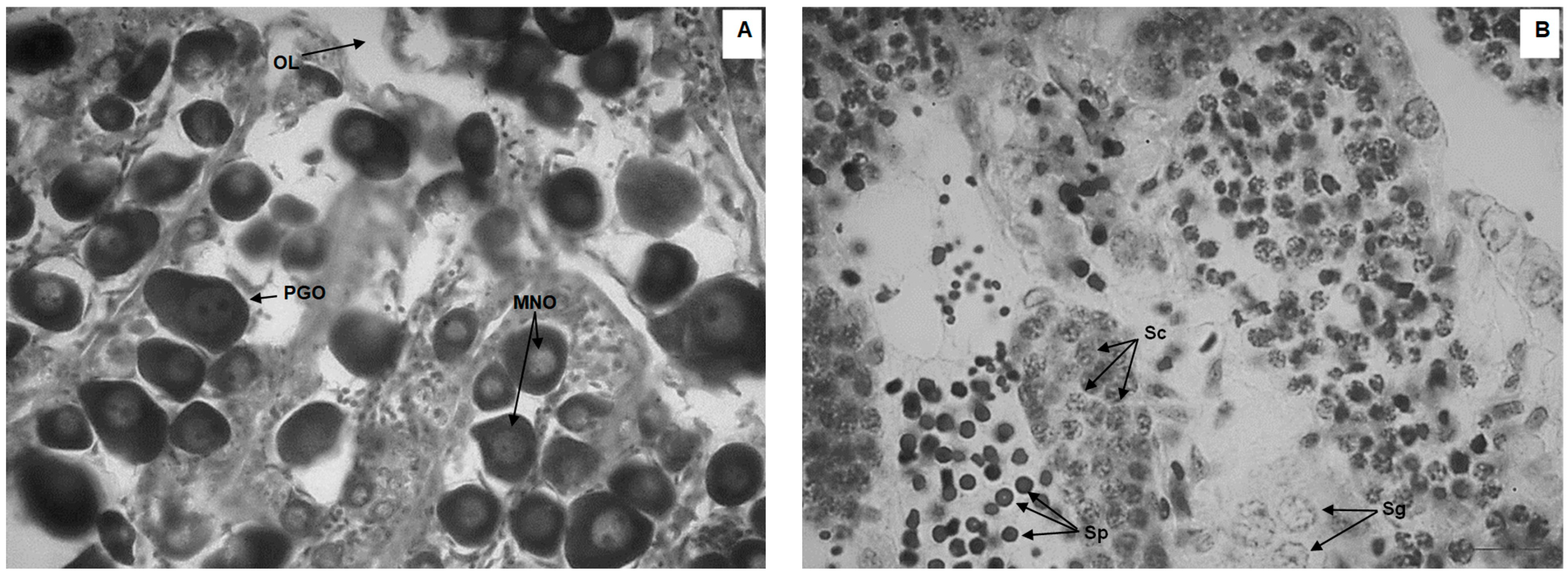 Aquacj 03 00016 g001 Aquacj 03 00016 g001