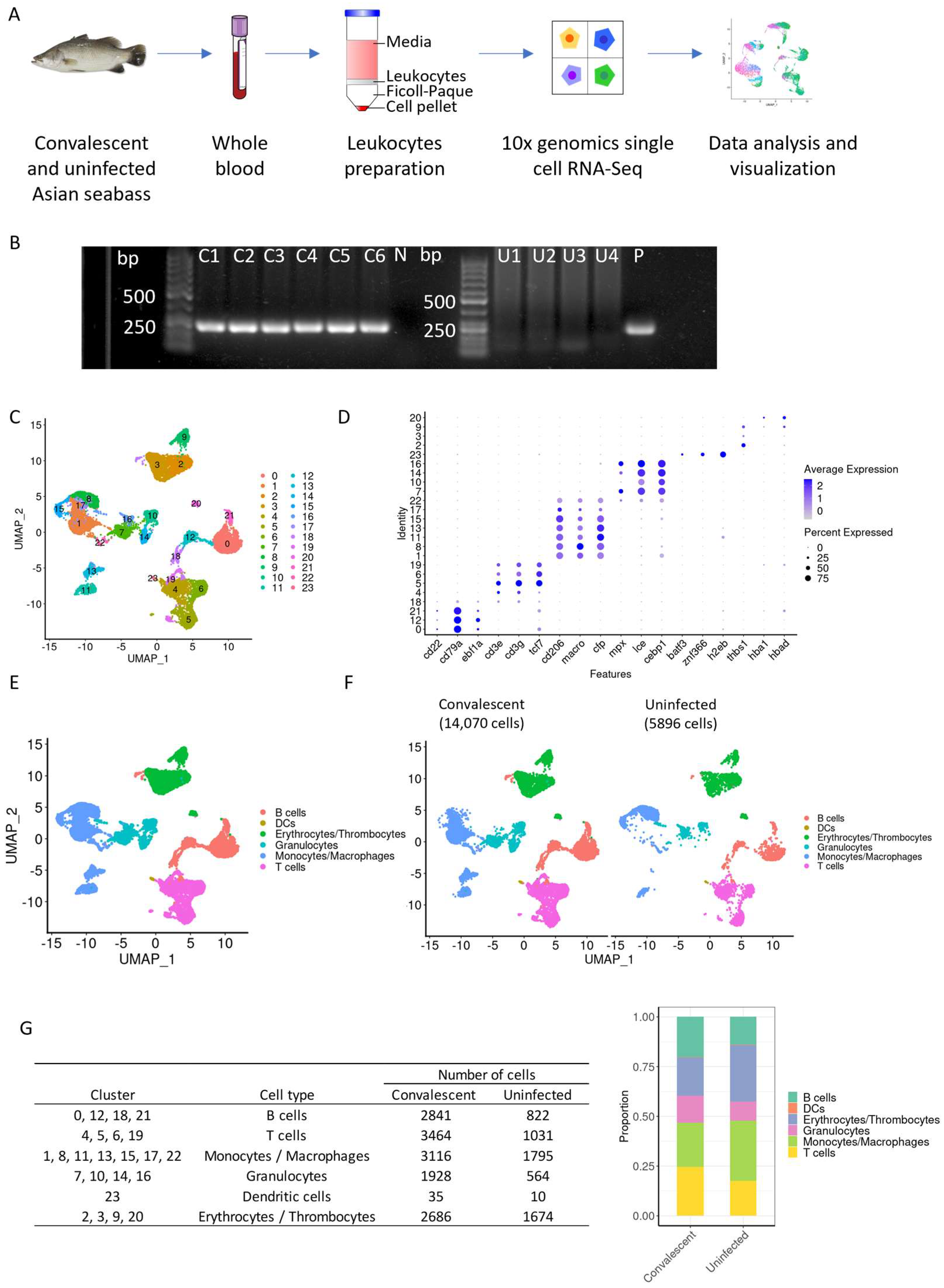 Aquacj 04 00003 g001