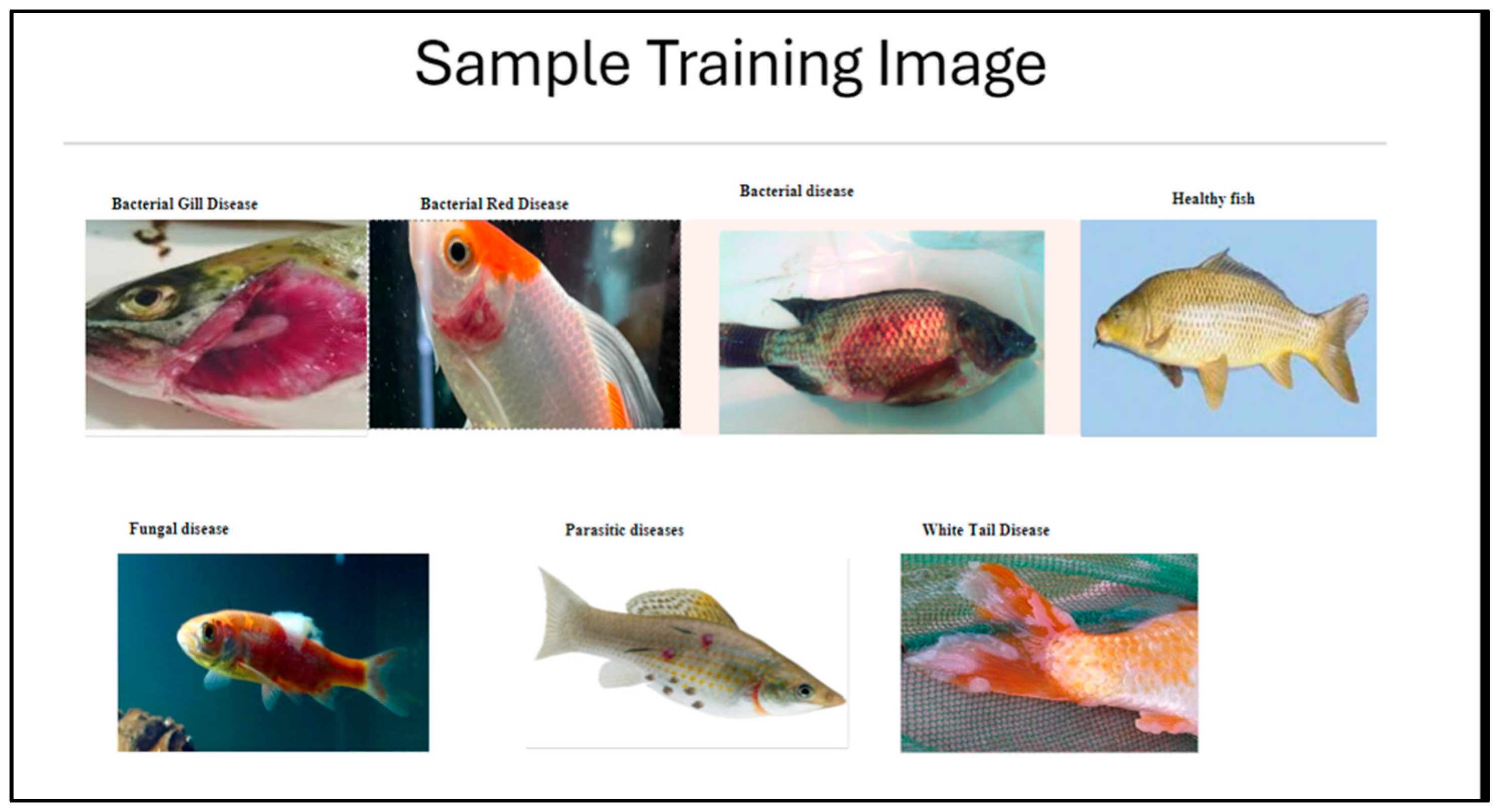 Aquacj 05 00006 g003