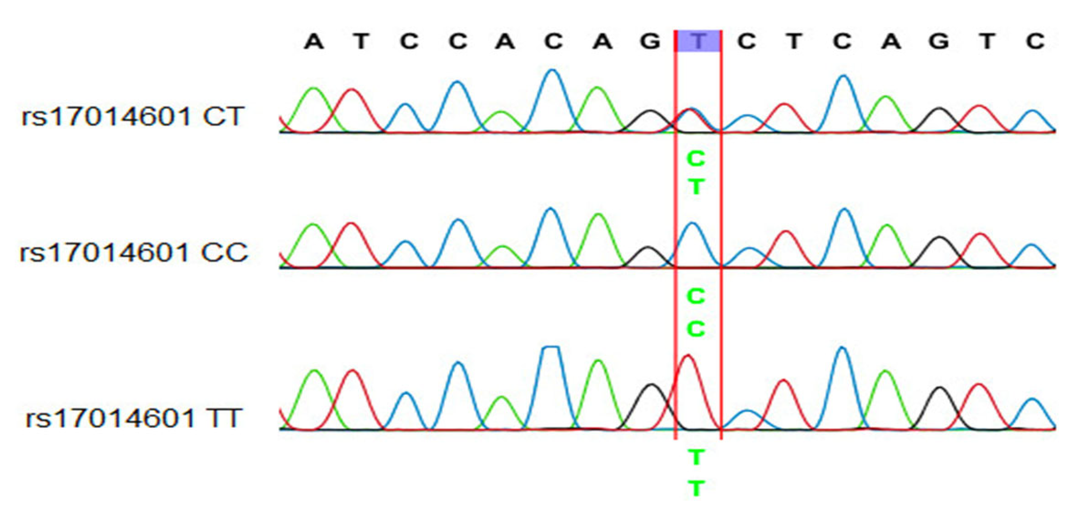 Arm 91 00021 g003 Arm 91 00021 g003