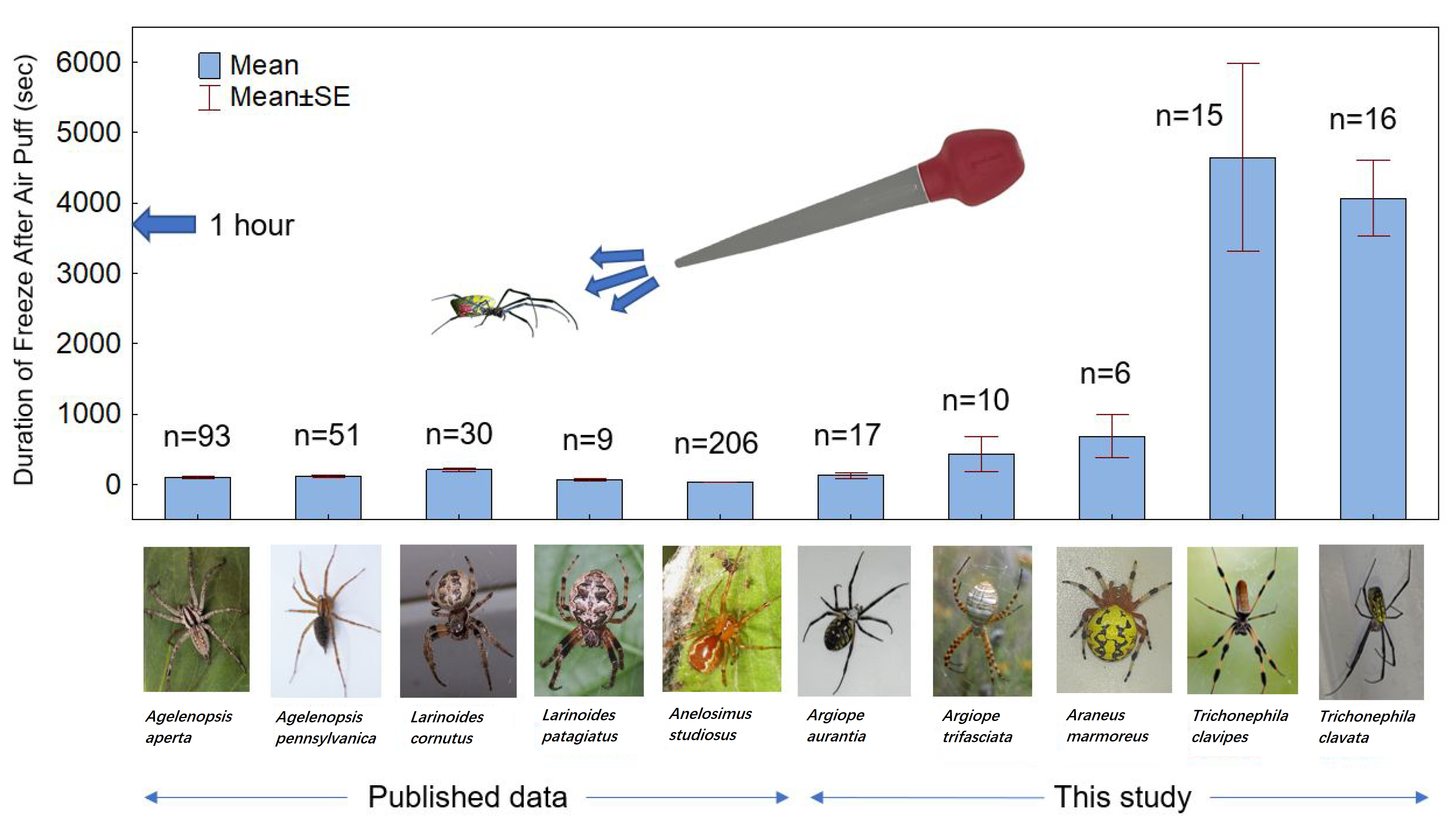 Arthropoda 01 00009 g002 Arthropoda 01 00009 g002
