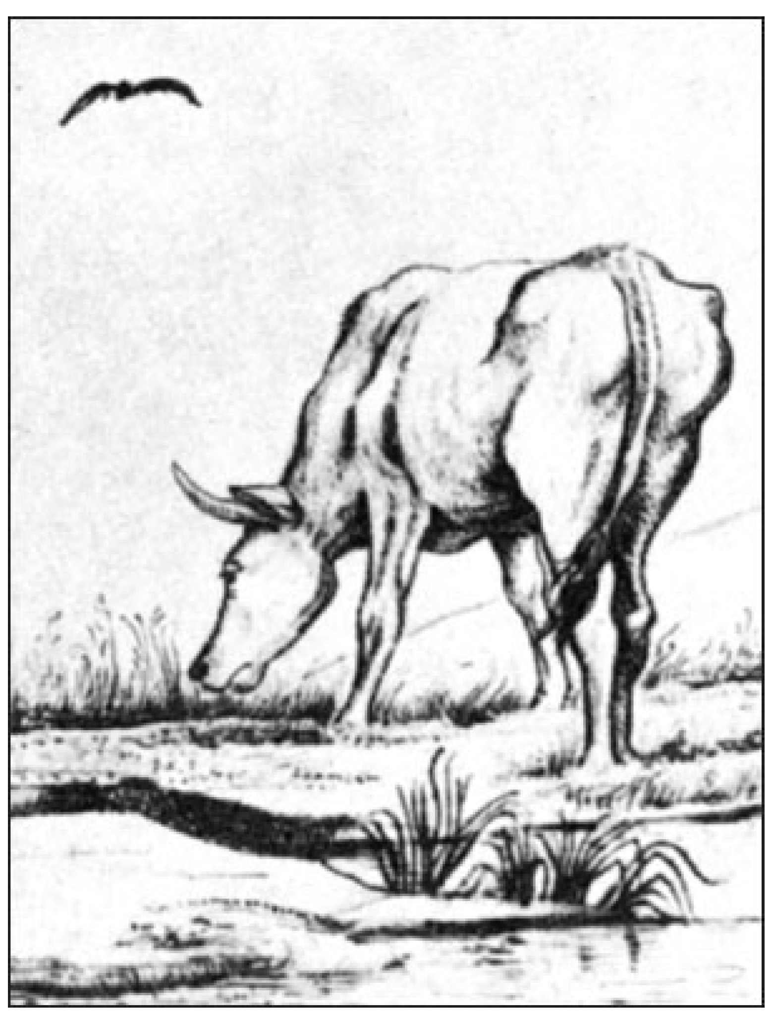 Arts 11 00126 g043 Arts 11 00126 g043