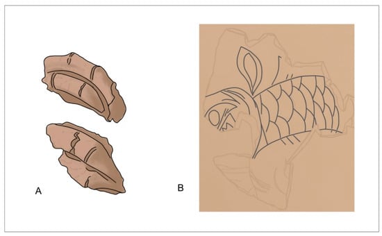 ANATOMÍA ARTÍSTICA (PARTE 2) - Taller Draw