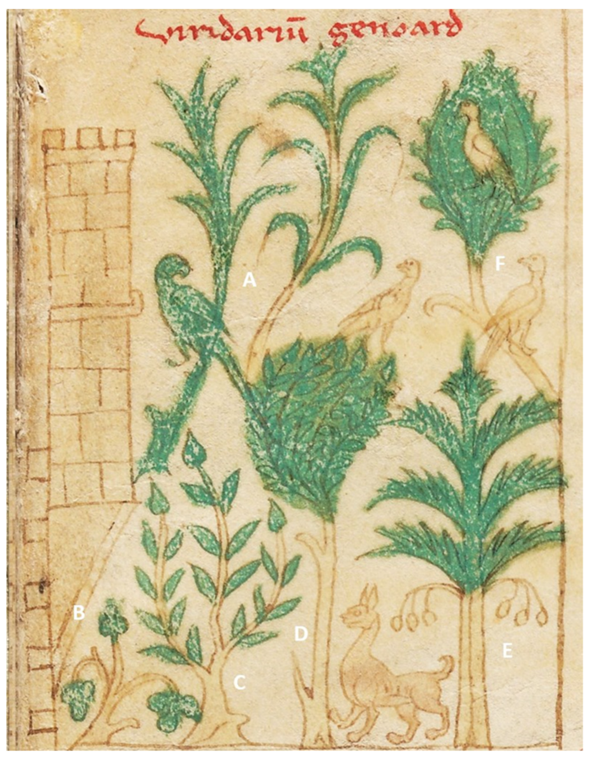 Arts 13 00176 g016