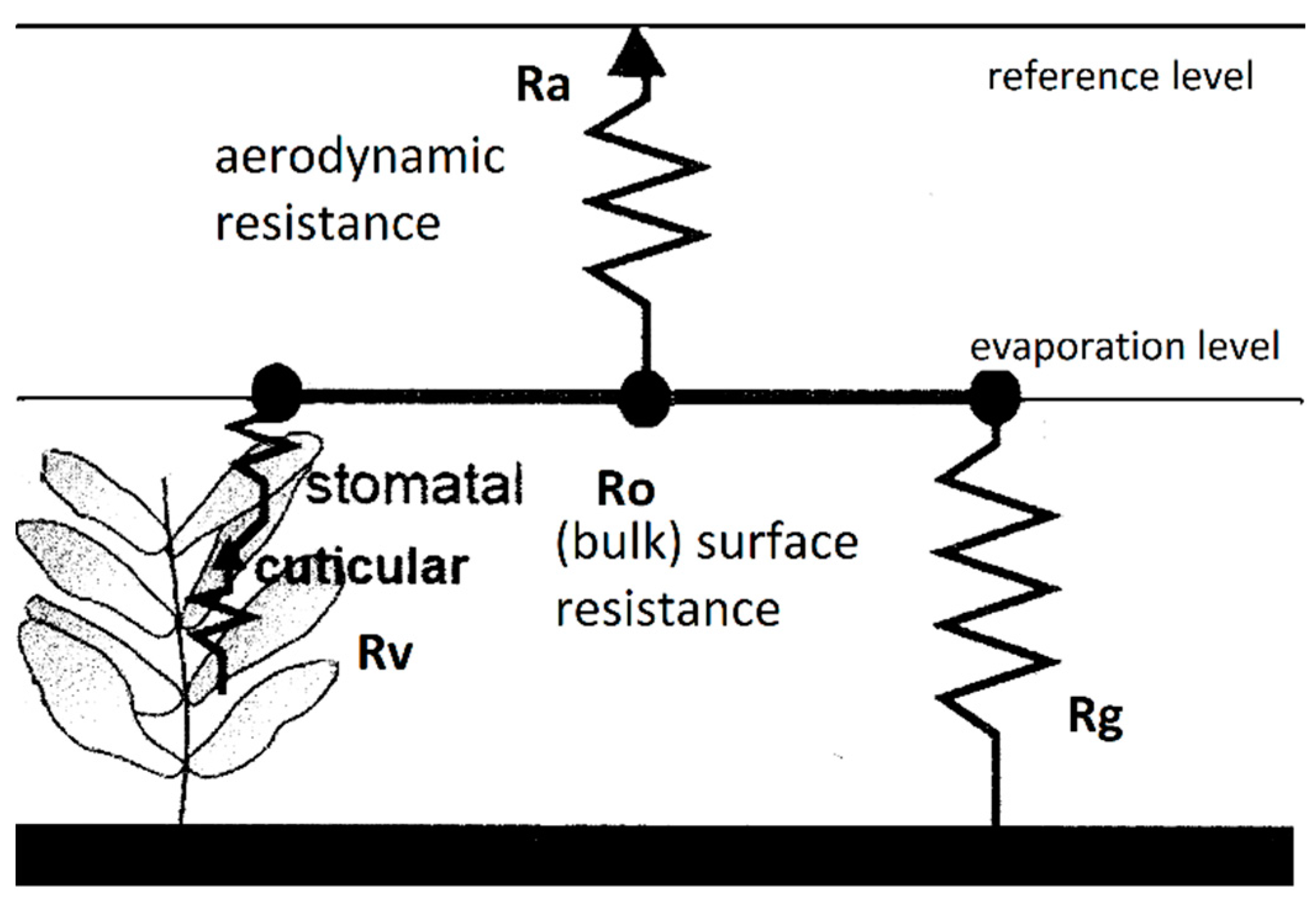 Atmosphere 06 00255 g001