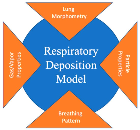 Atmosphere Free Full Text Prediction Of Aerosol Deposition In The Human Respiratory Tract Via Computational Models A Review With Recent Updates Html