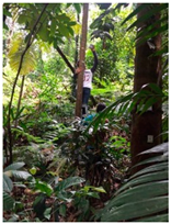 Atmosphere 11 00652 i005